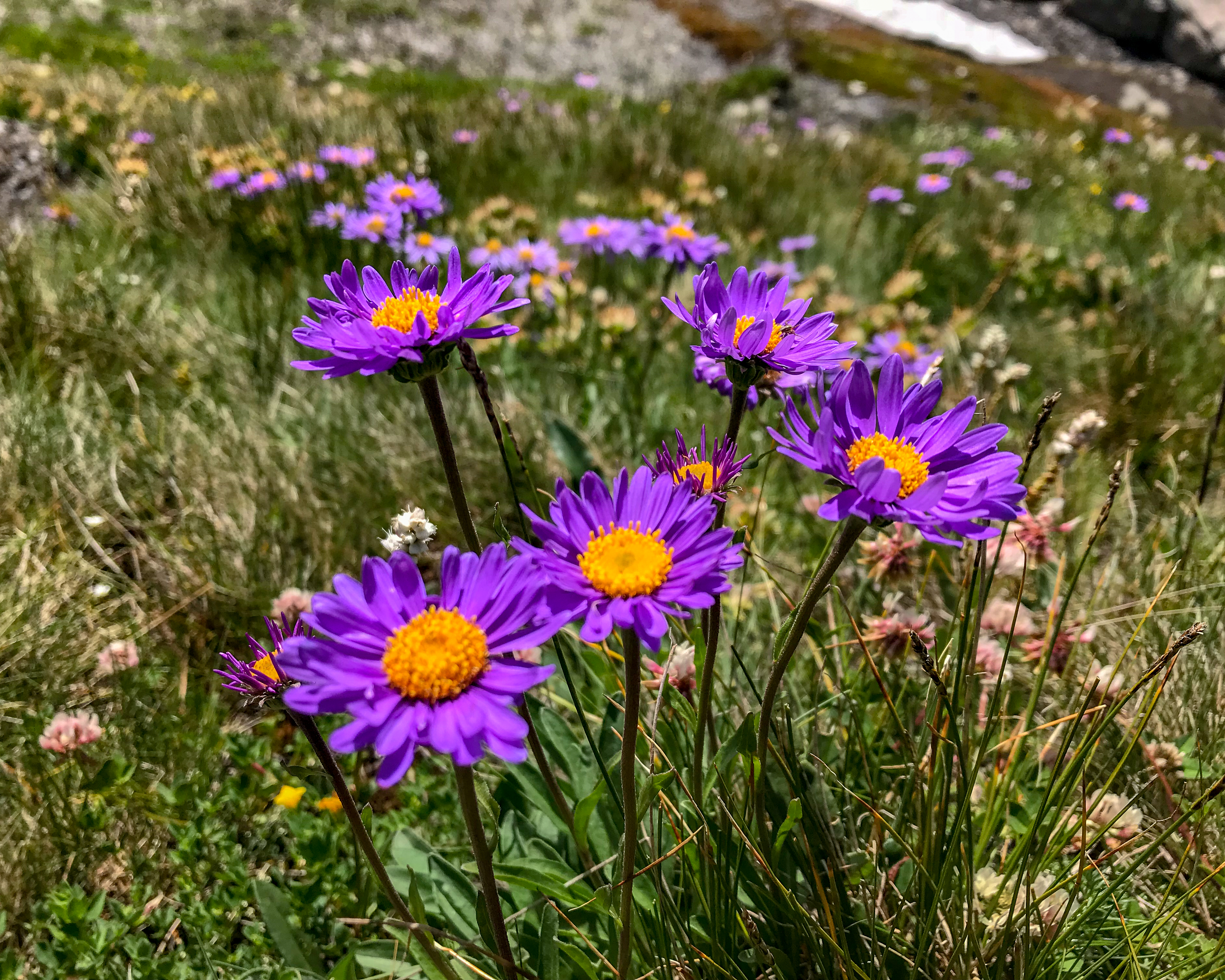 65eef1e3-fbd3-4e60-9af3-4ab49a5265b5