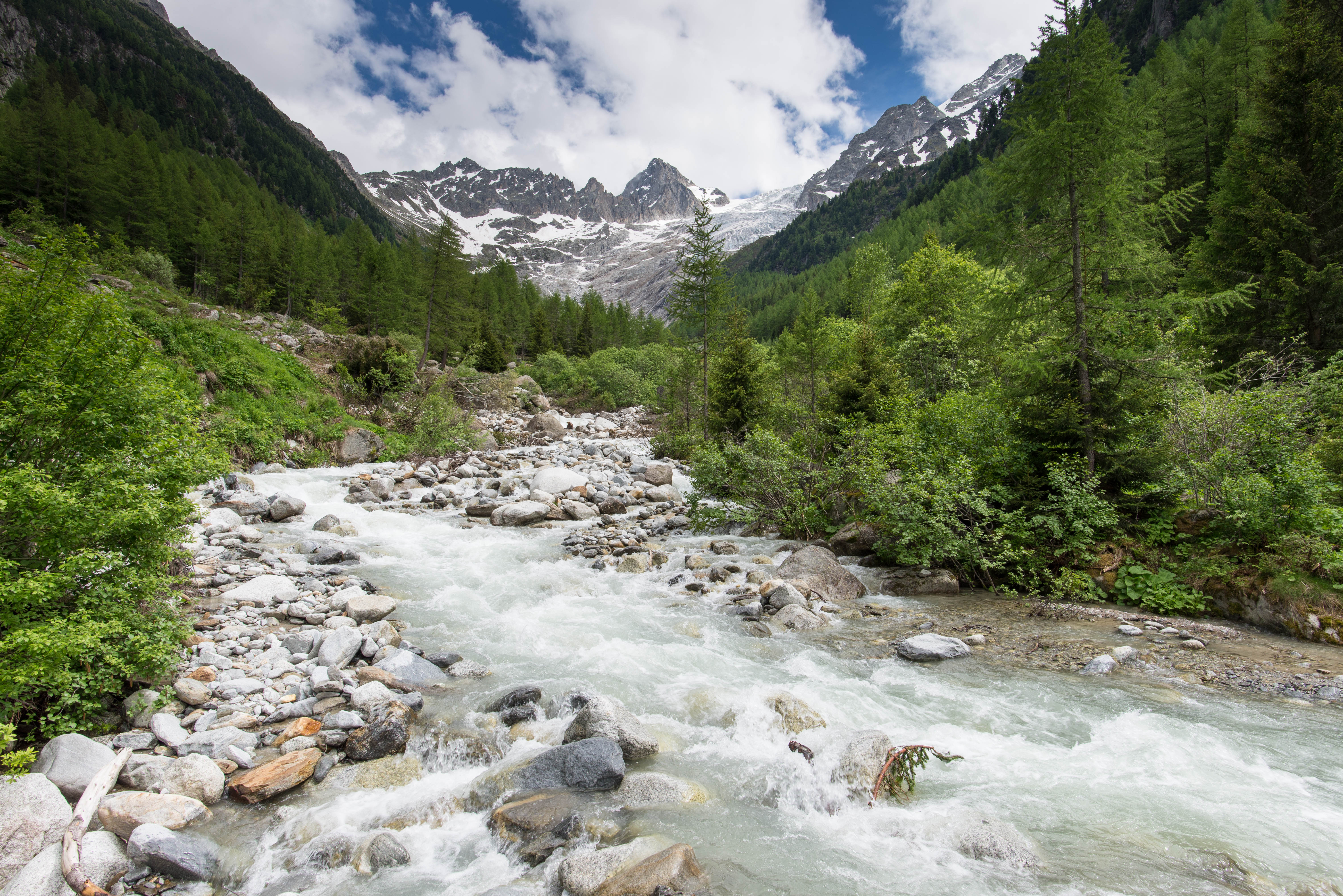 a58e4c29-7992-483d-9c50-e2b98b1a6e51