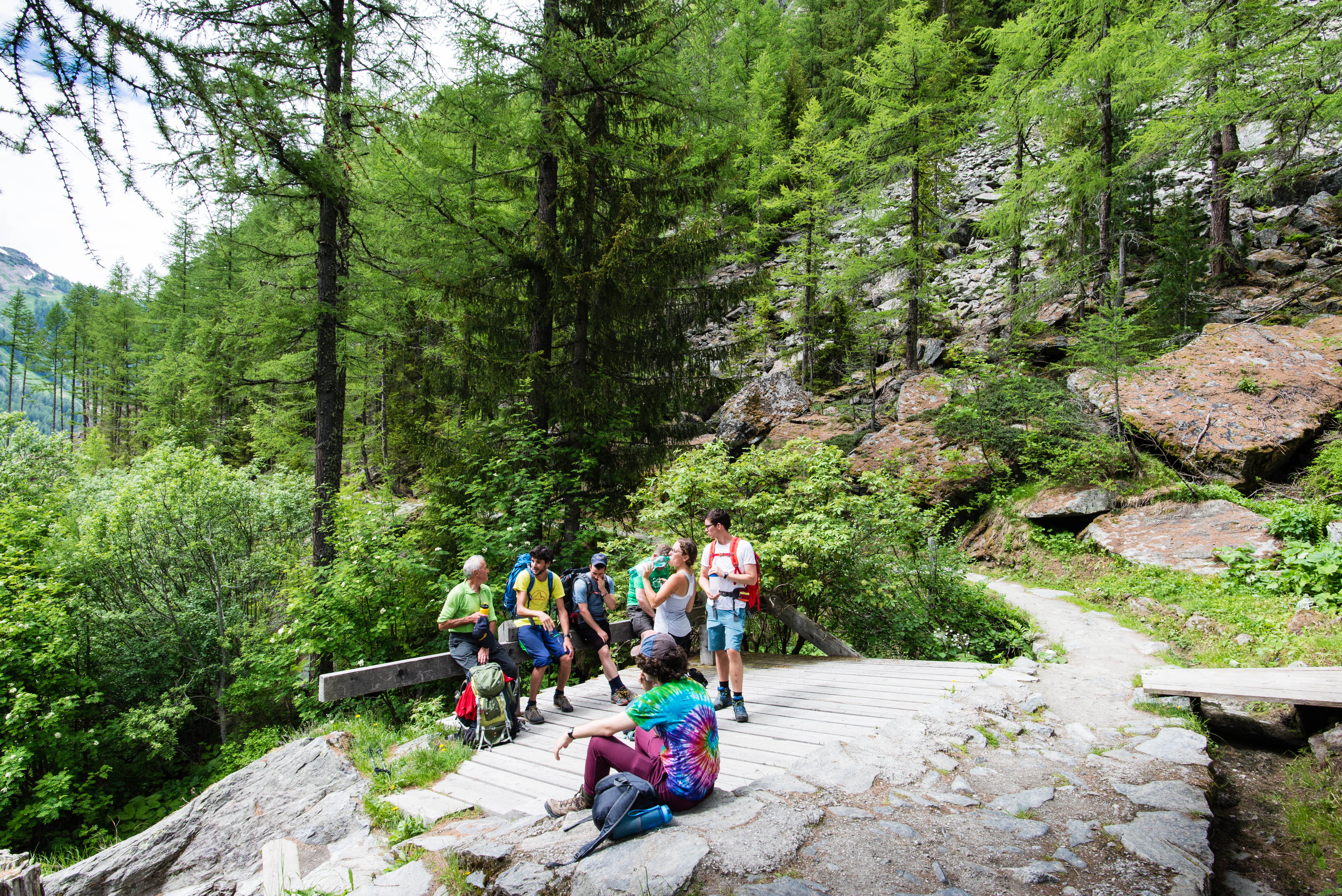 bd6b6e99-d25e-4978-b117-4856e385fd70