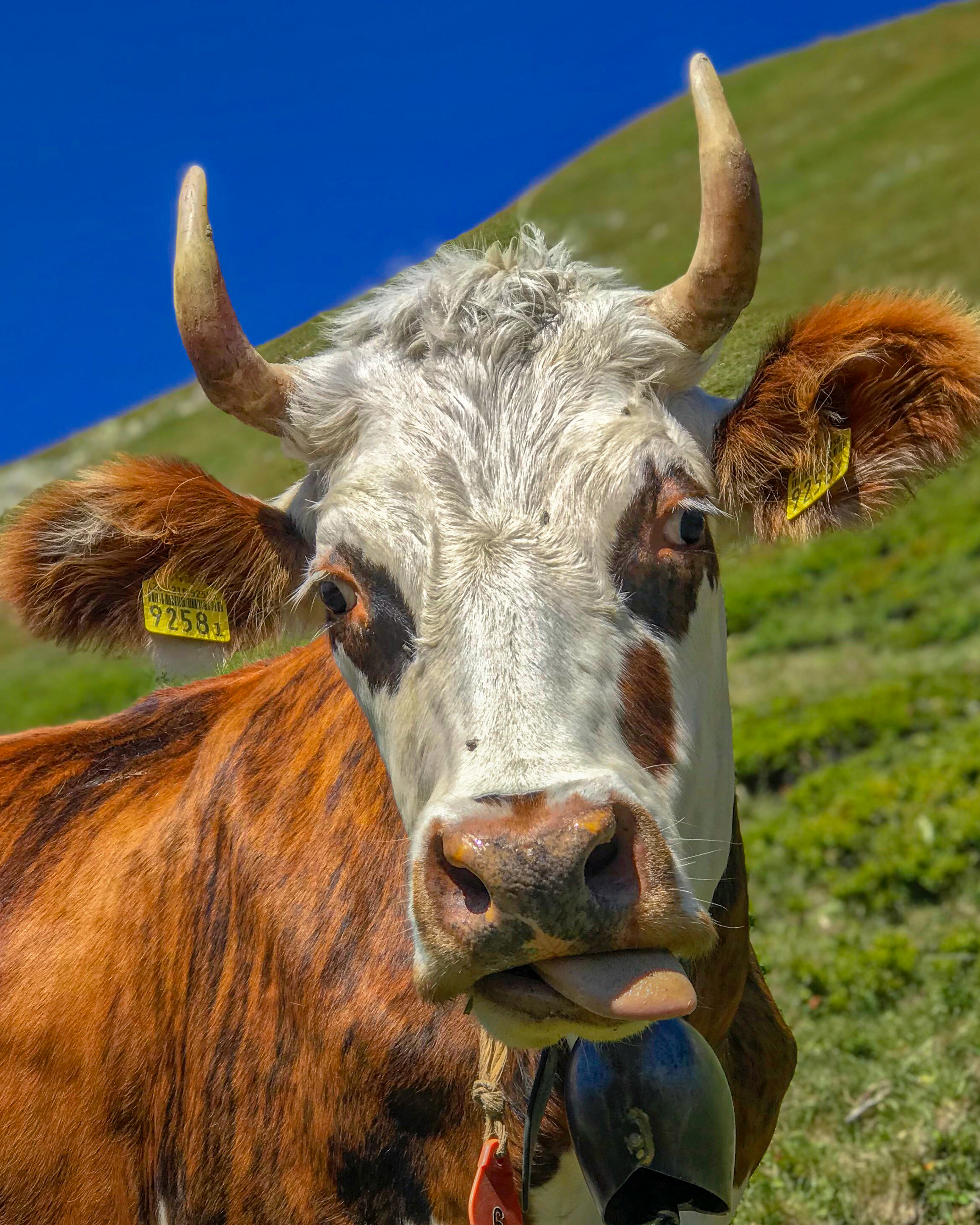 c555ce50-e0f9-4b53-9aa9-baef39694e30