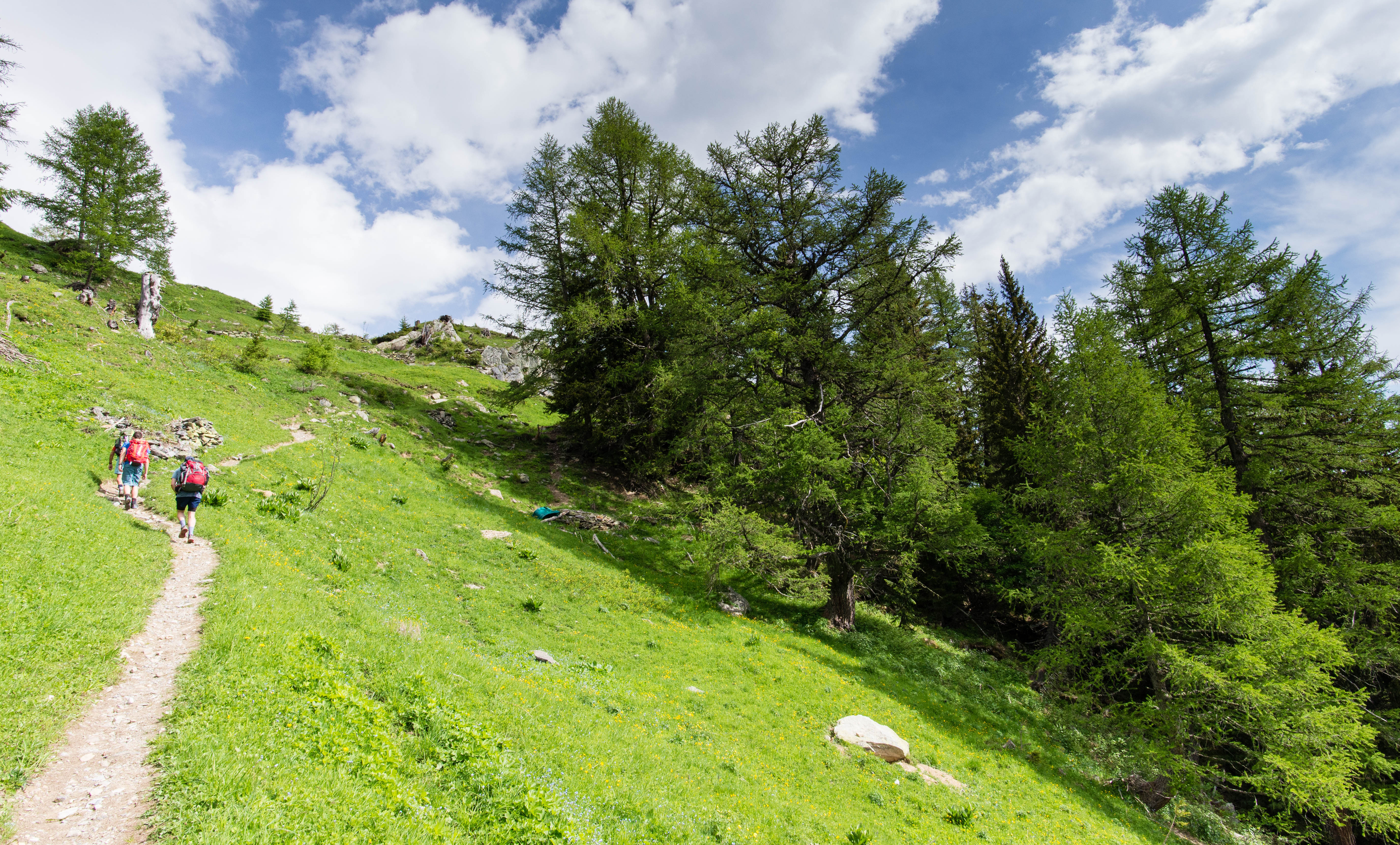 f6d00211-8140-4a99-827c-84a4d394a4d3