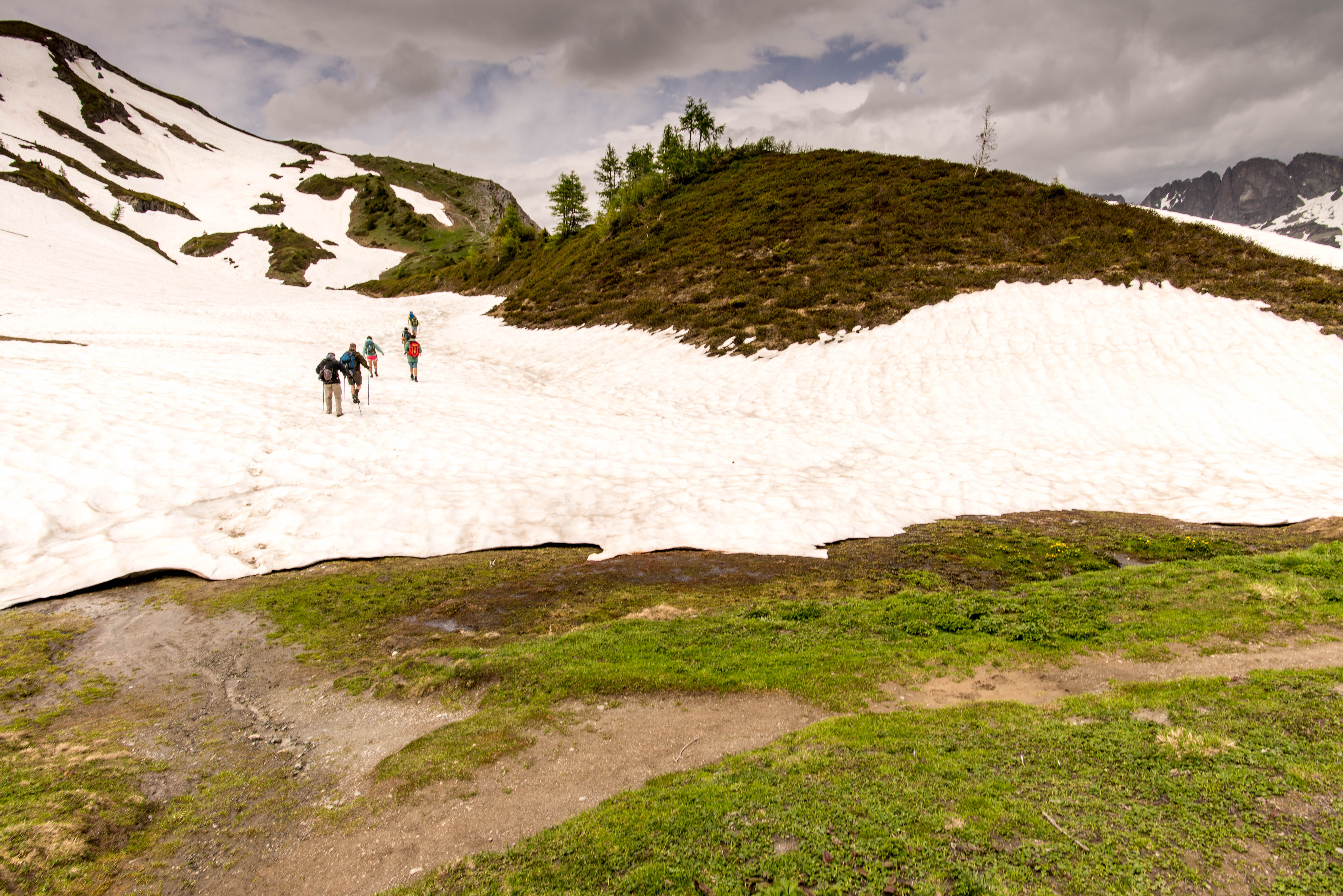 fb6611dd-fd2e-4aa4-bdc9-7858e754beb8