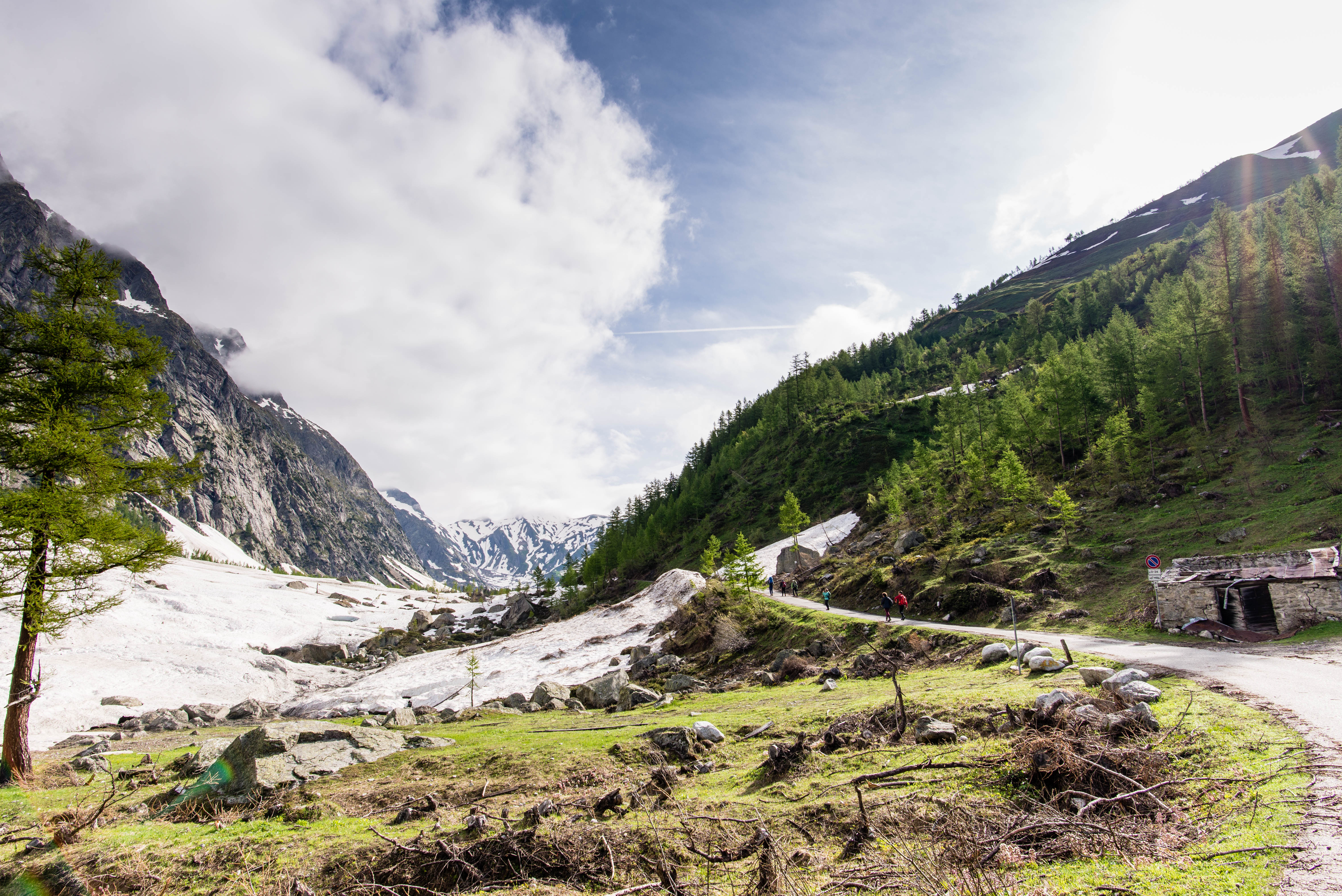 ff7692ee-7397-4940-8891-c3e2e8cb0579