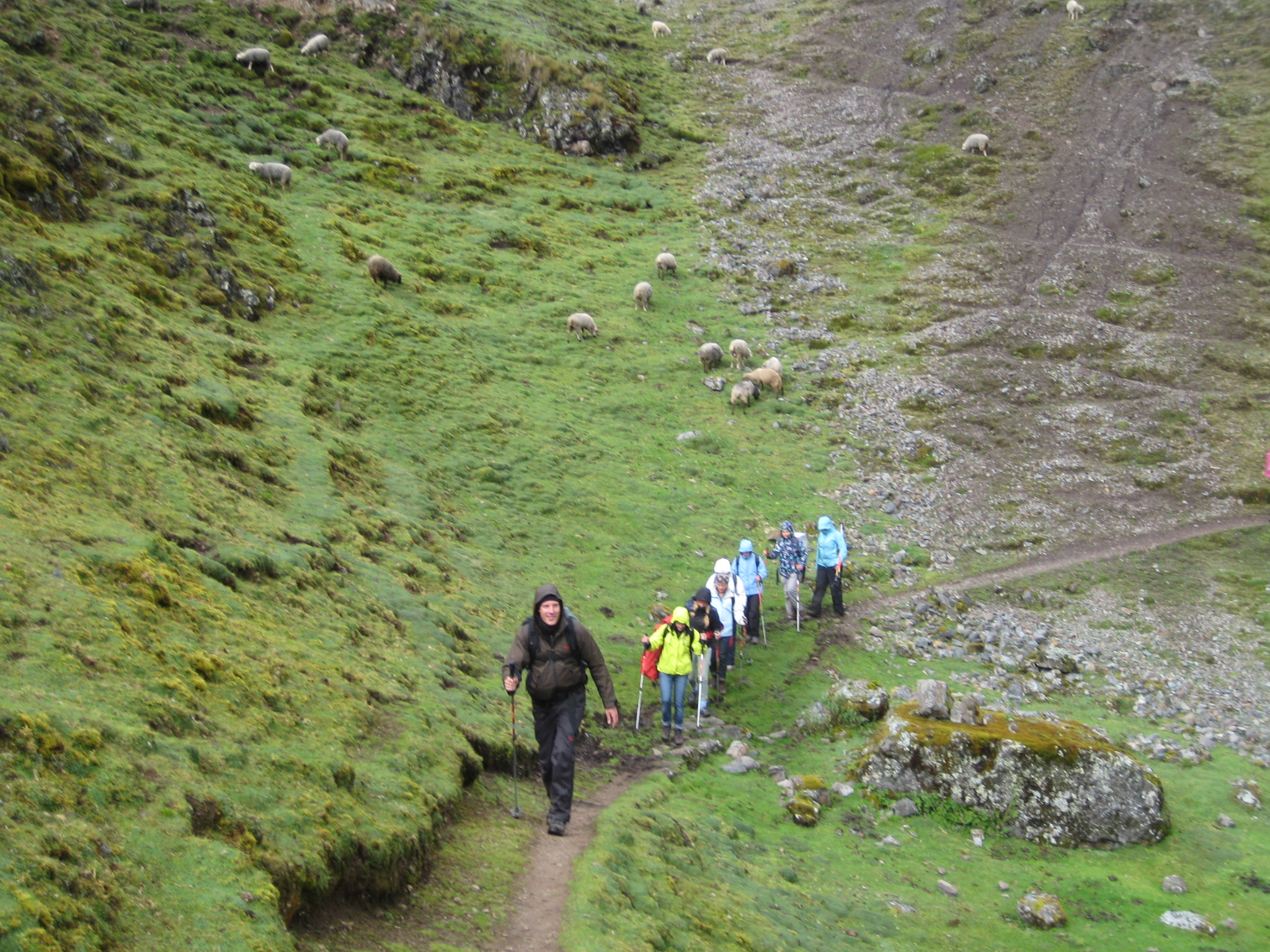 image_3GL4SPZPNMX9MM7E