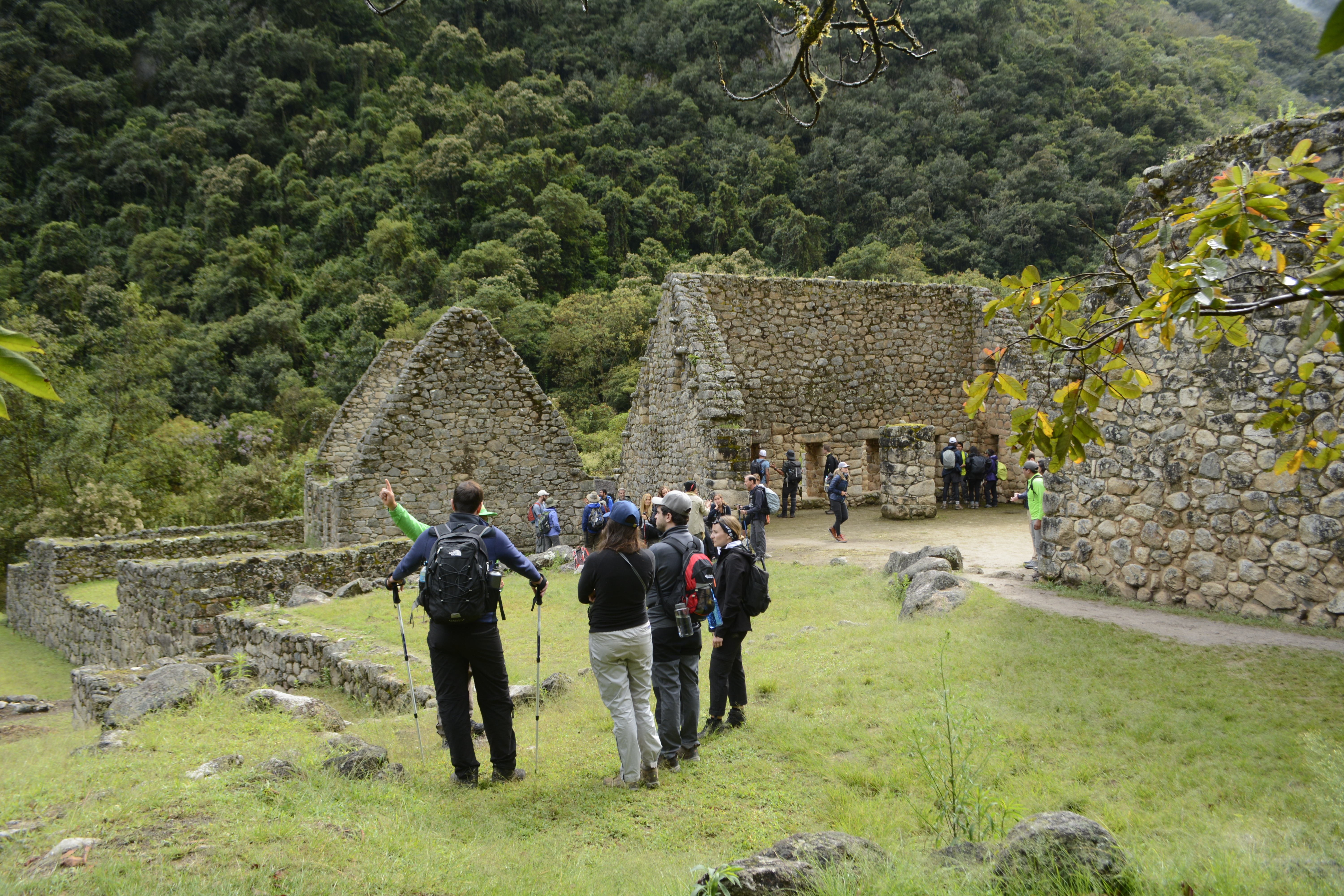 image_FX8UGNHGL78TYHEU