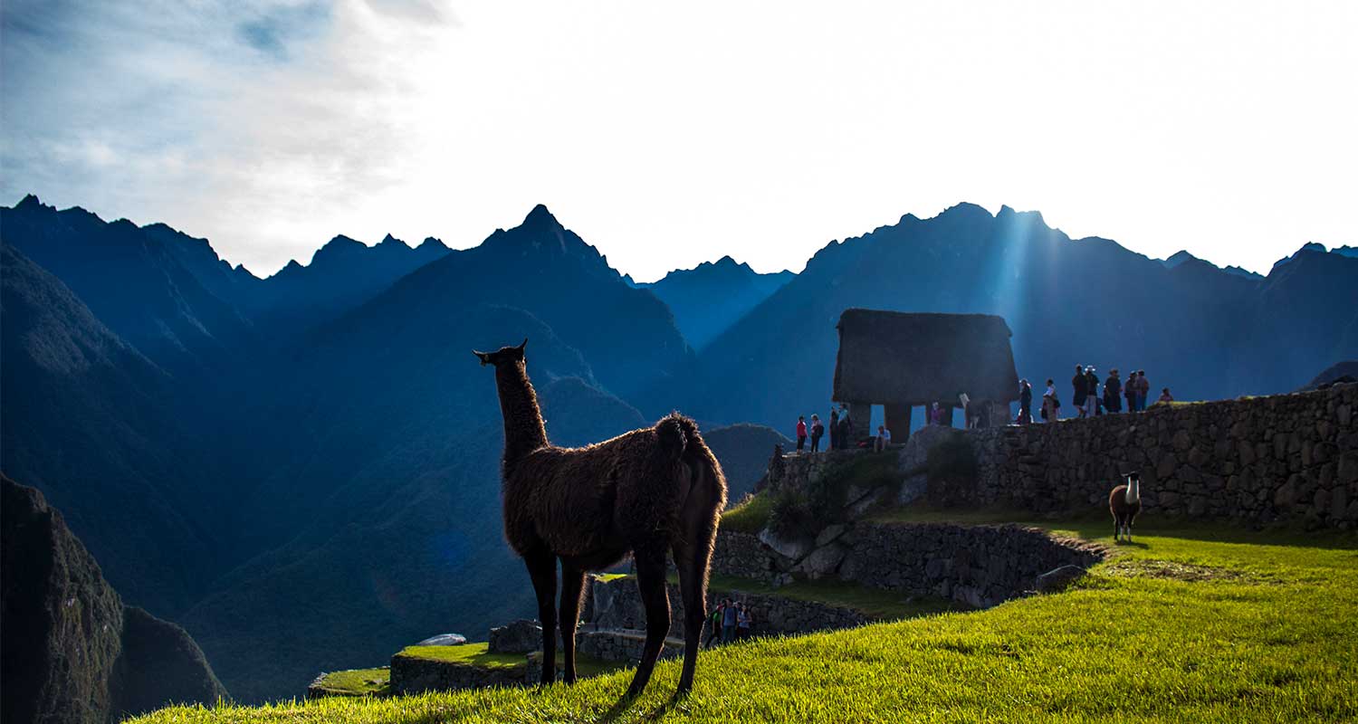 image_RT7UB3RW4H2XTN4Q