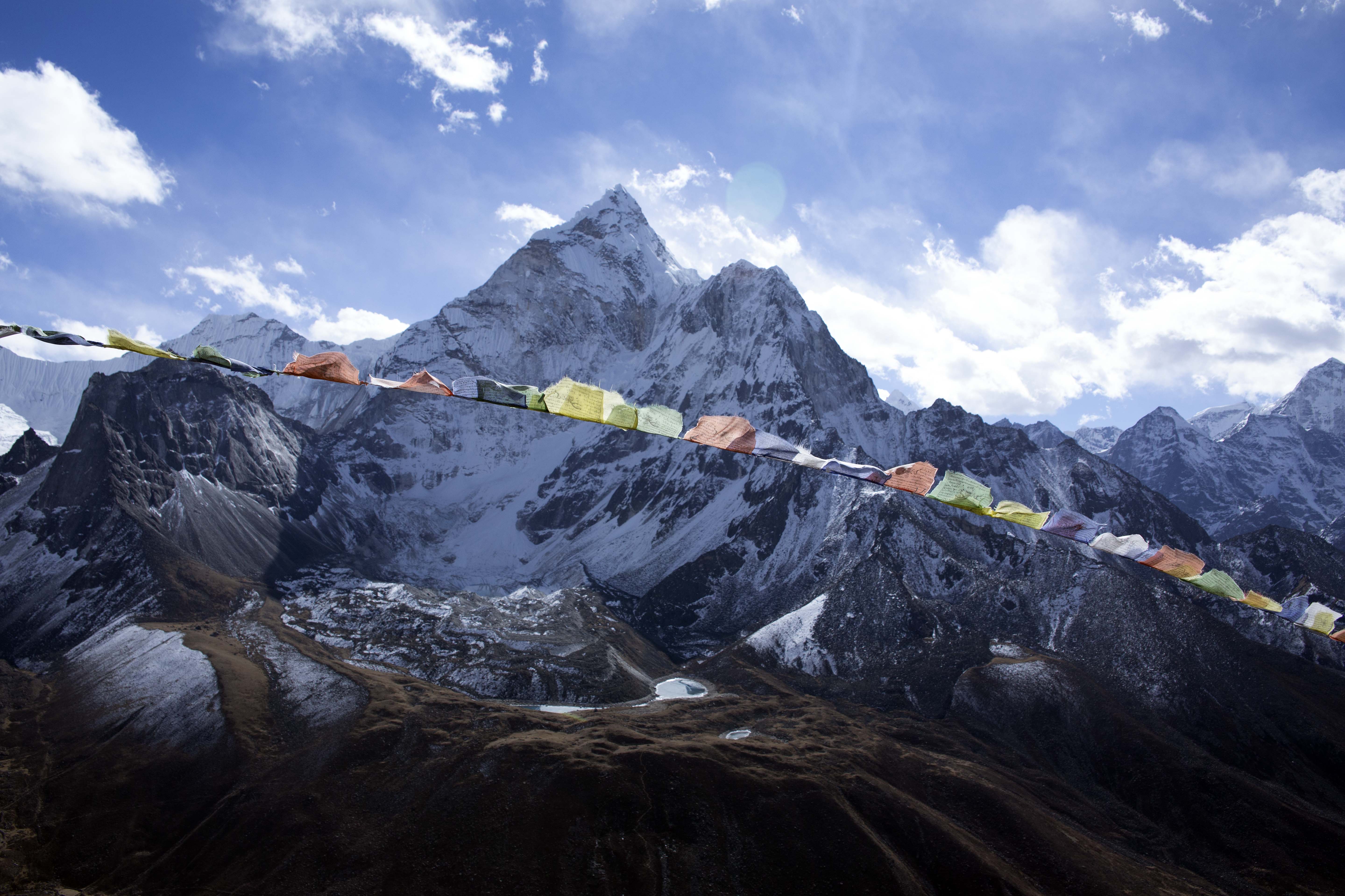 image_8VCQALXCDWS8BHVG