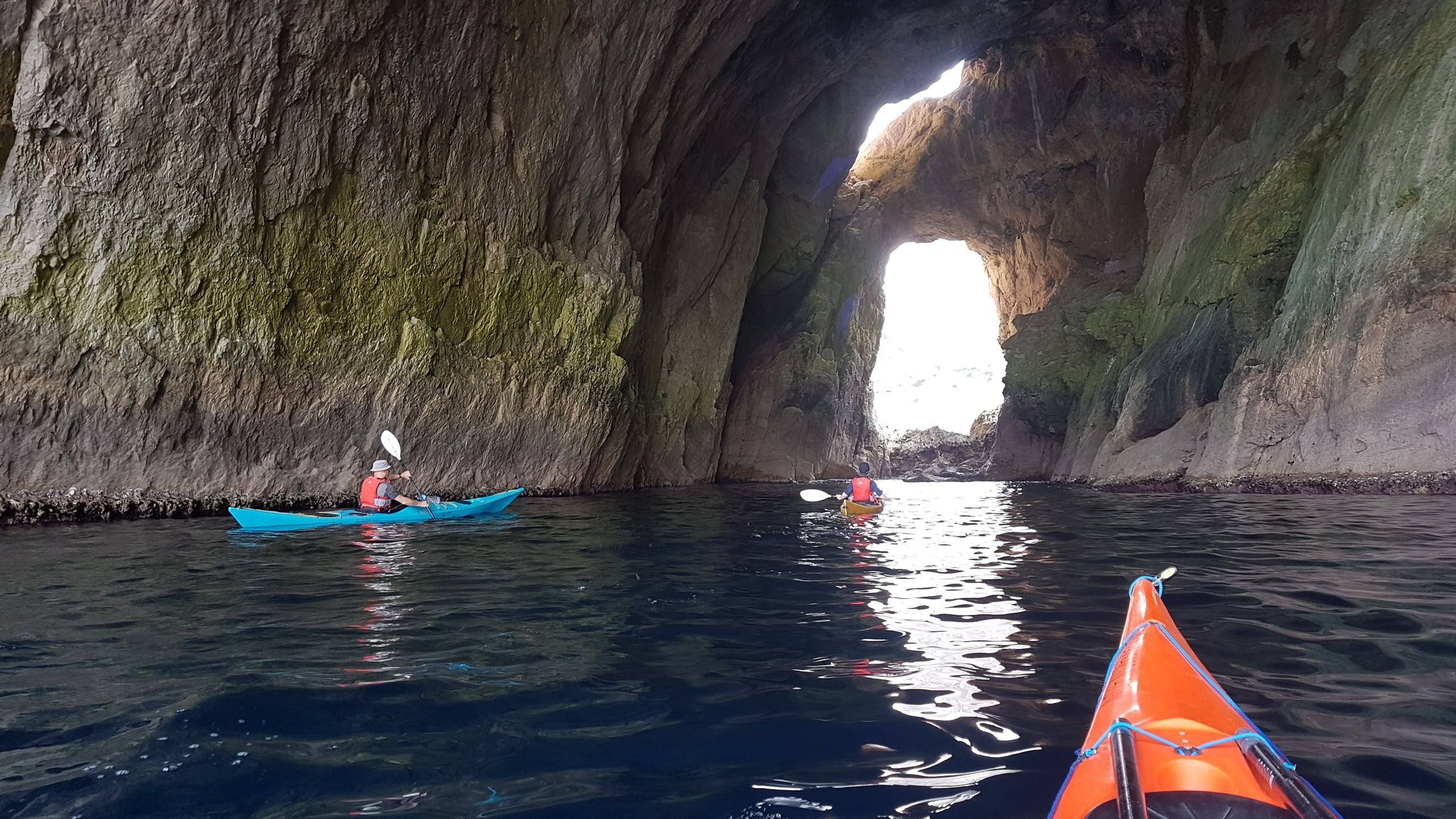 d8fa5667-3296-4274-a943-49cf6b5b0181