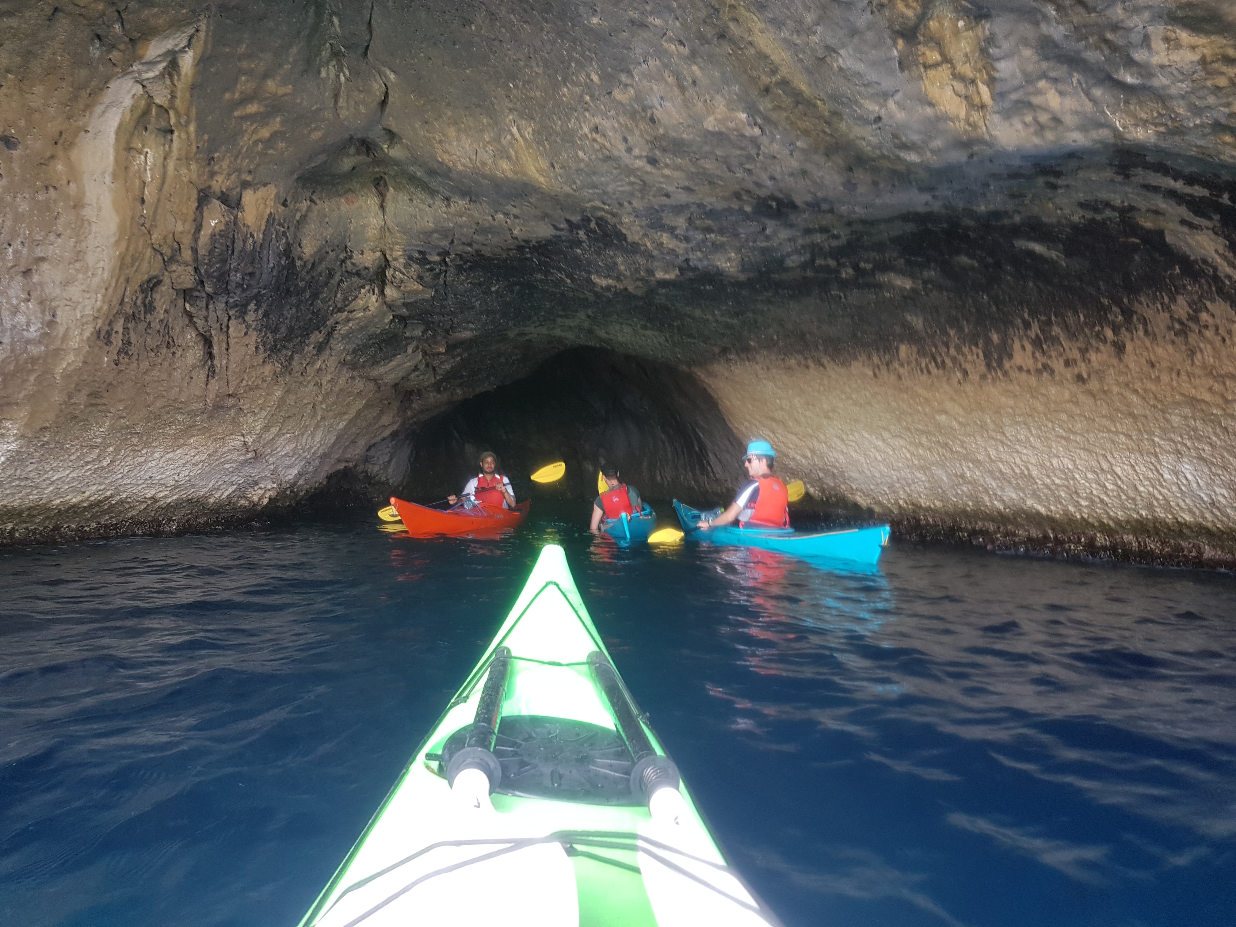 f21358c6-dfe4-469e-81e4-989d5ec9c001