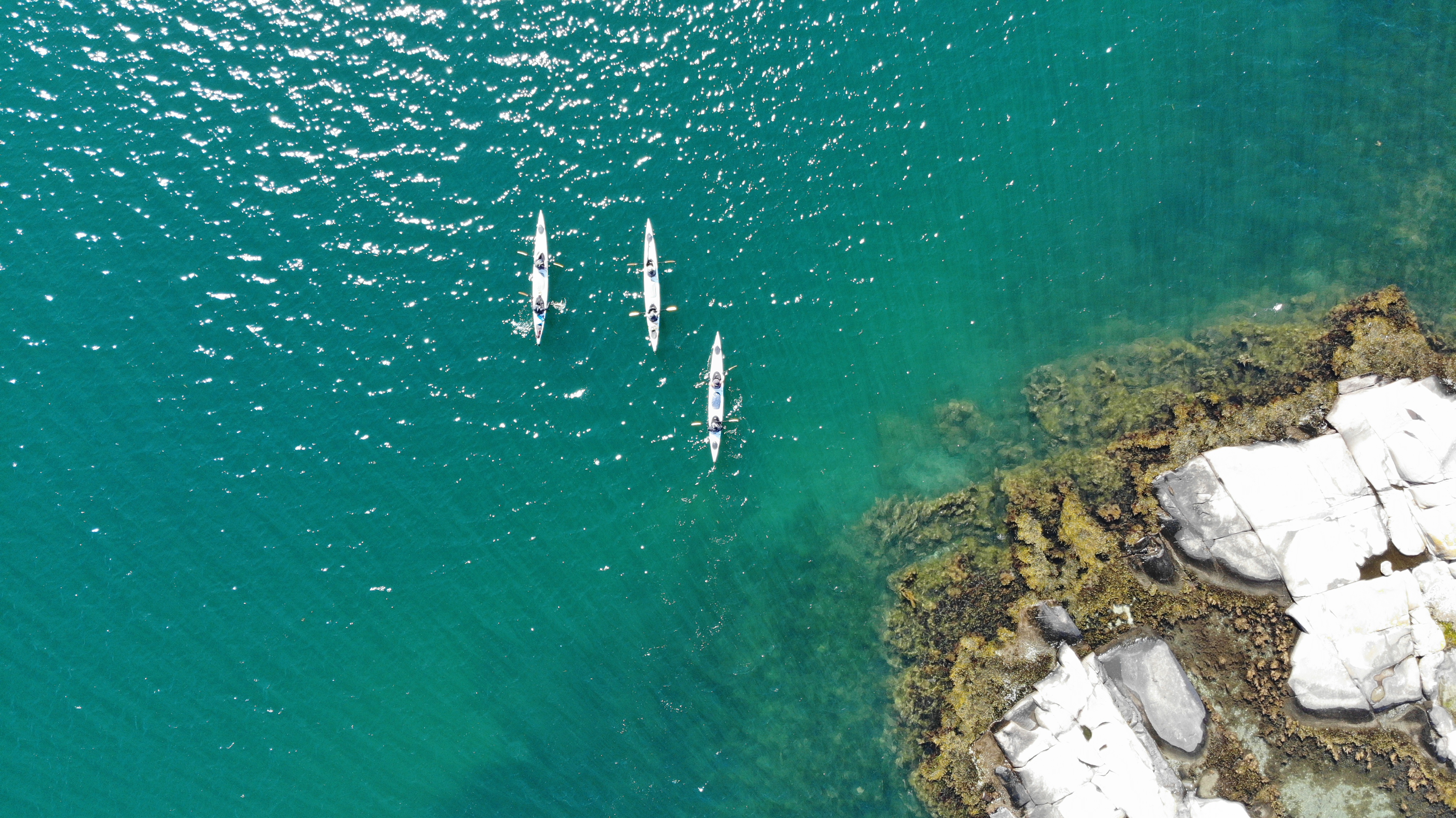 50b220d8-1f1f-4196-91cc-4b937e7707a5