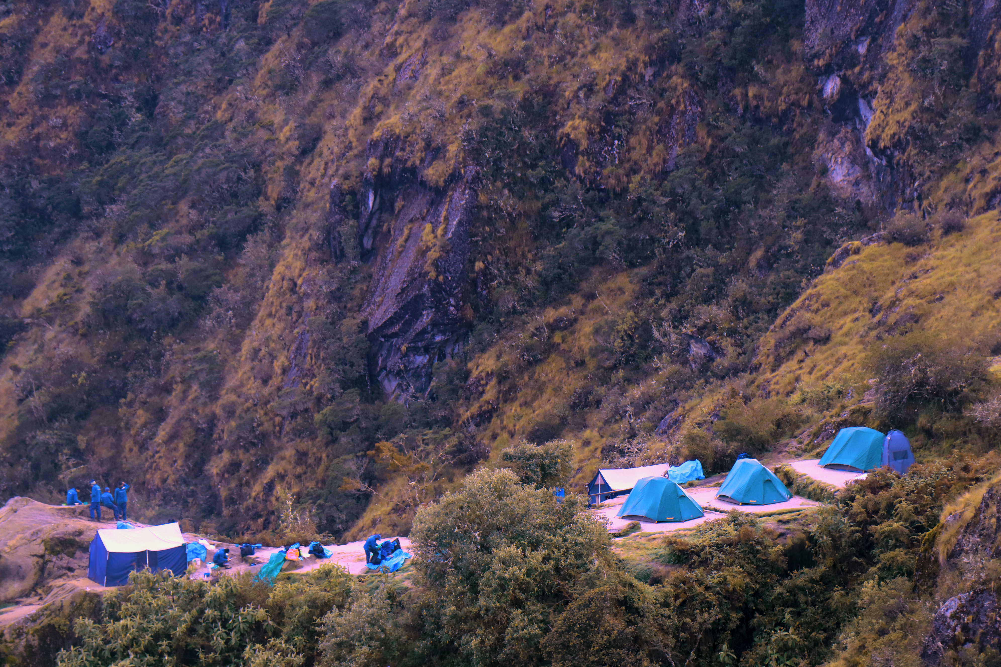 image_AESNA43TZ82D9YBD