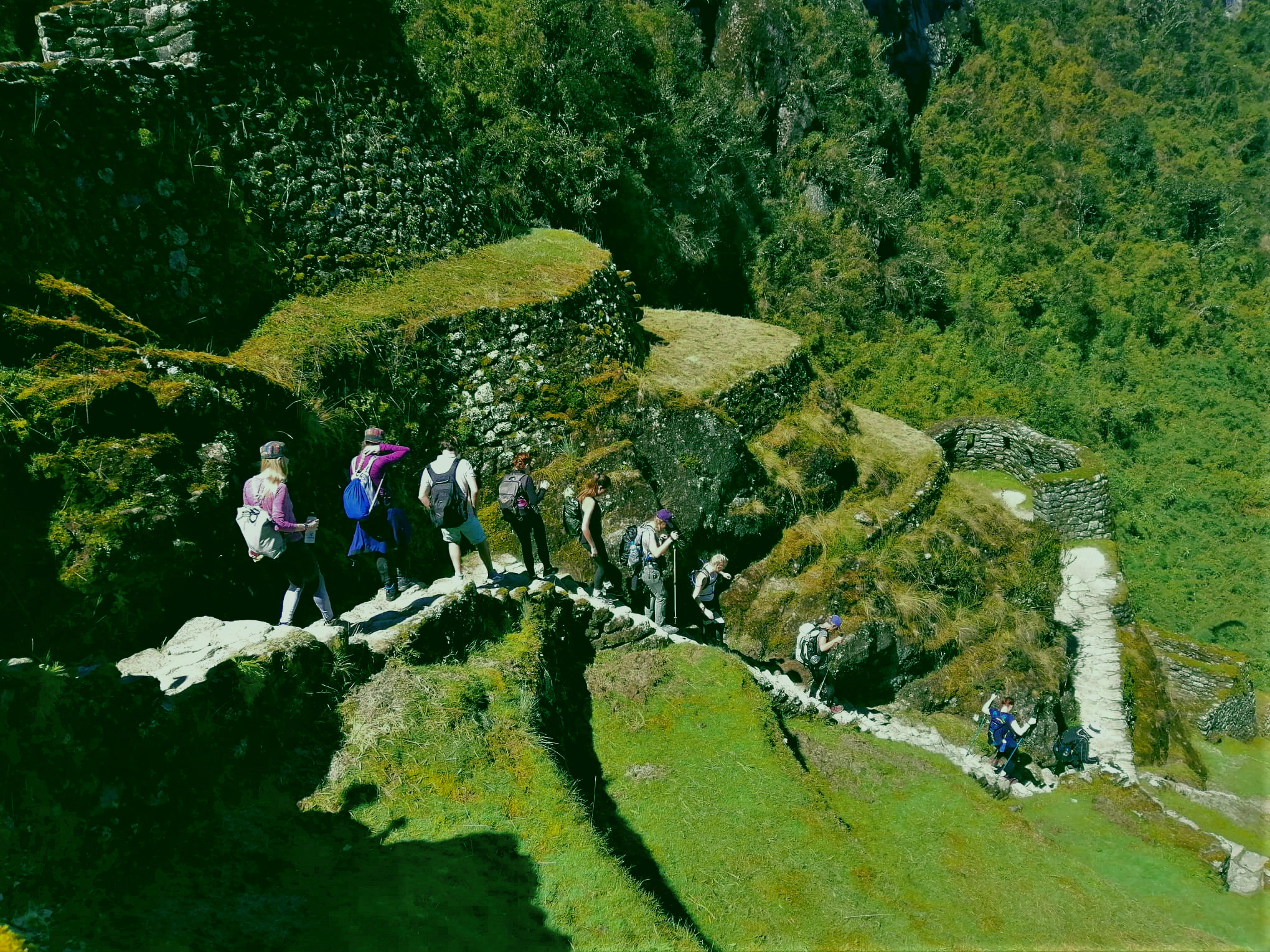 image_PCTBDVEMF4RAH6XG