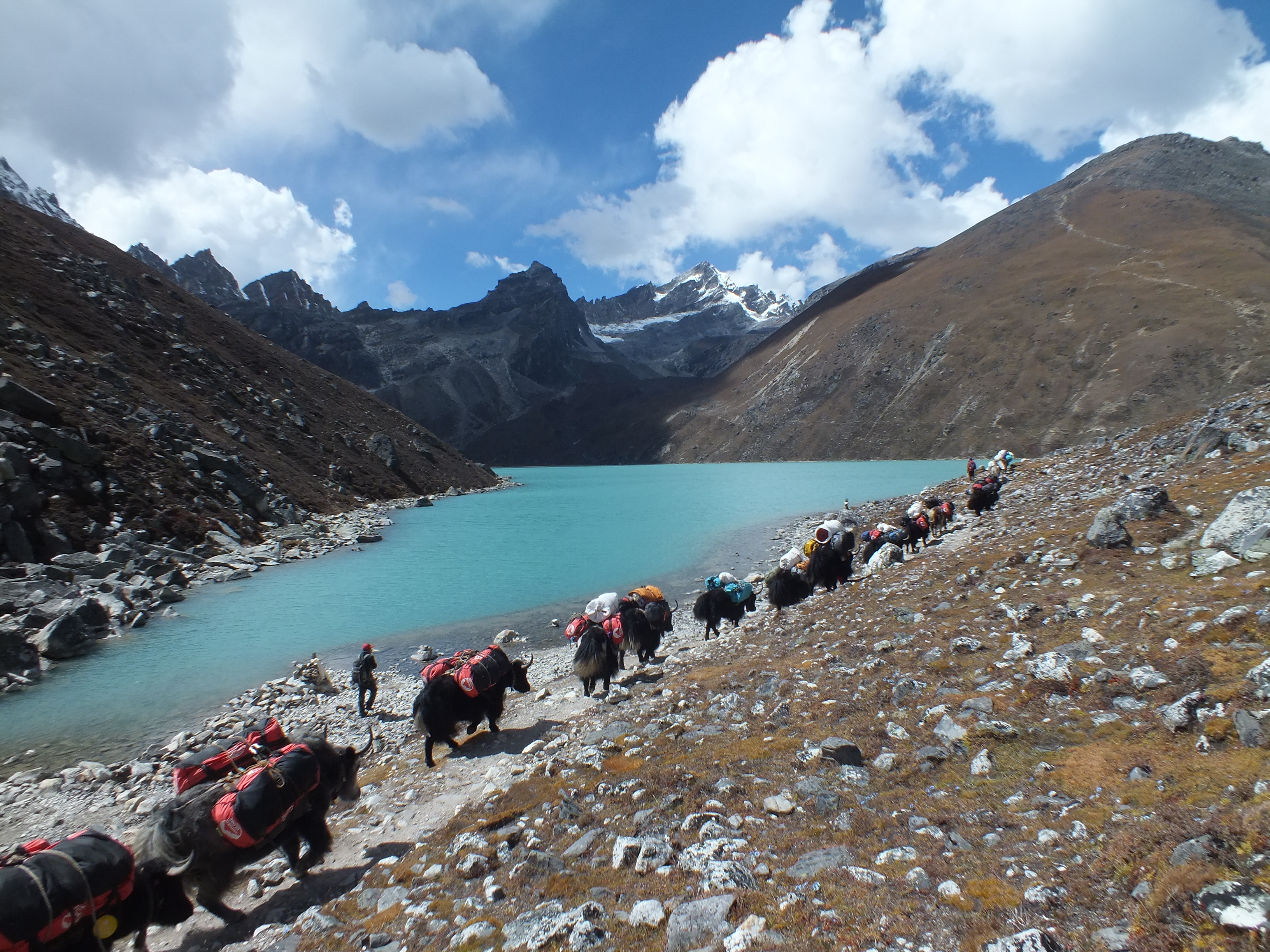 Everest Base Camp and Gokyo Lakes