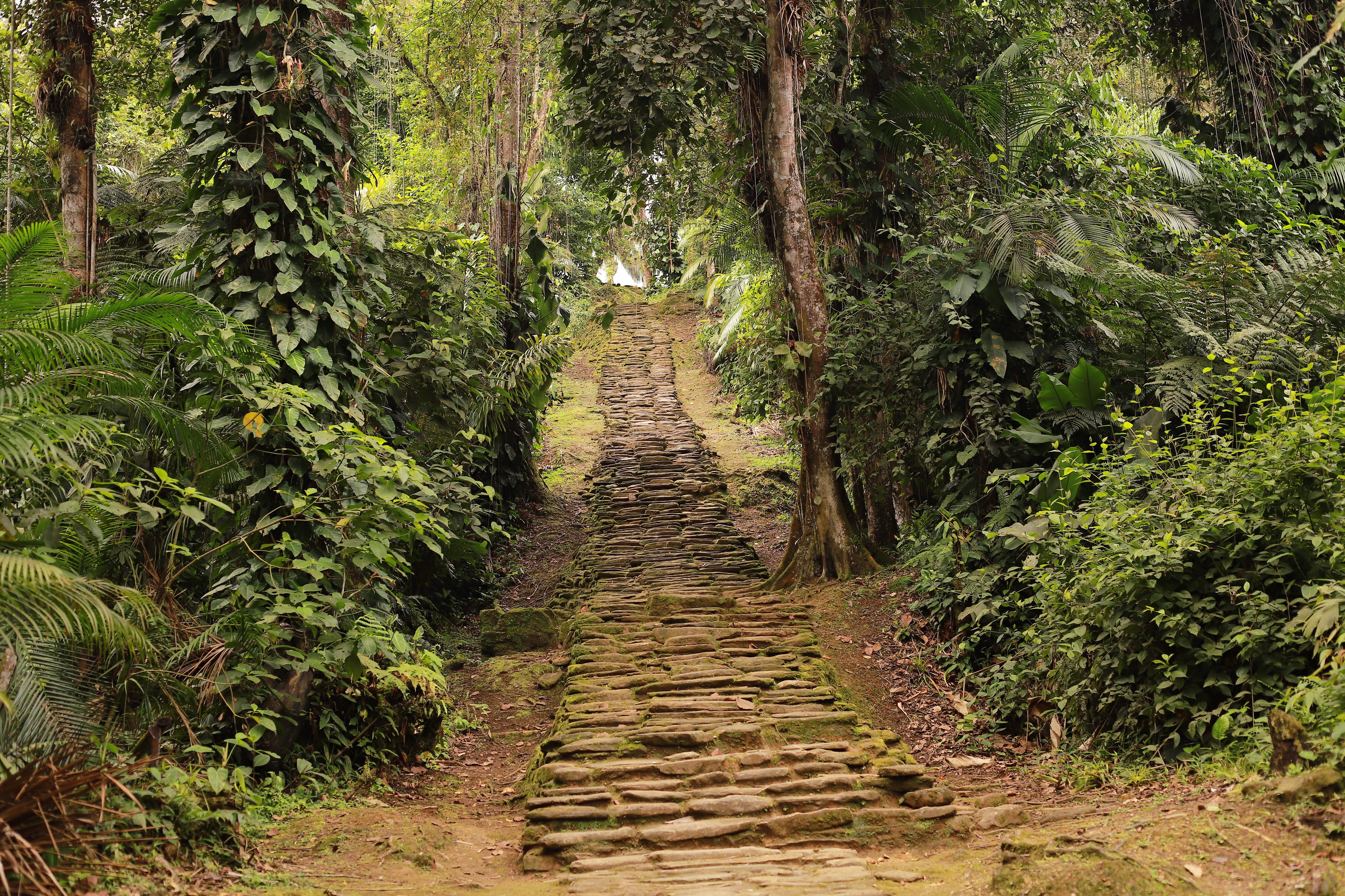 image_ZUJBXWC3WG5ABSA8