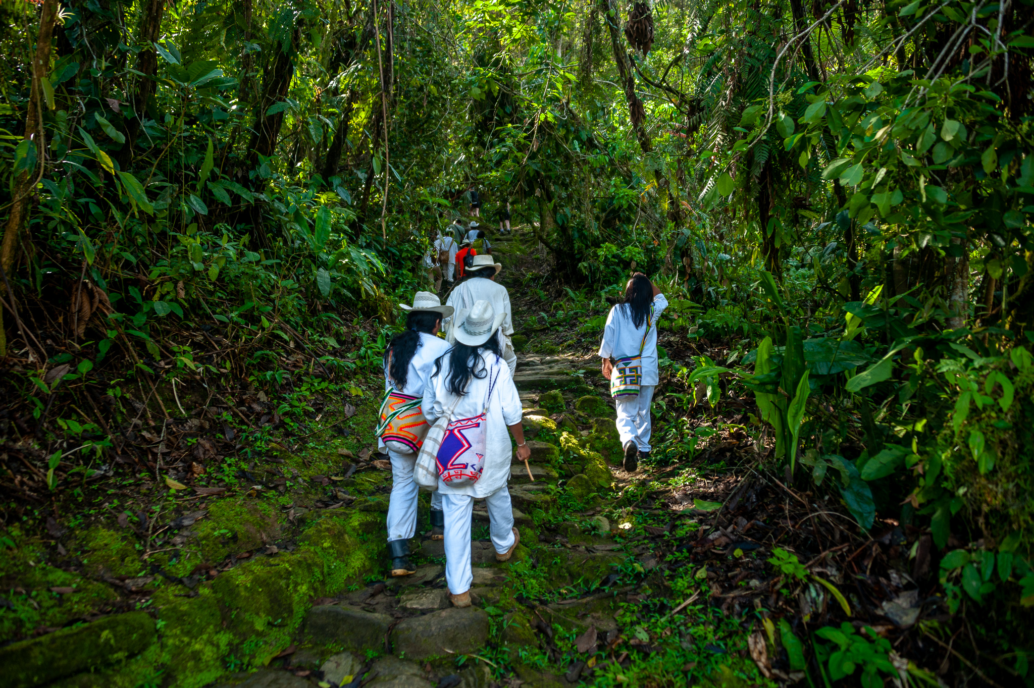 0ea6303b-7462-4073-93f8-3d92a7ae2fb1