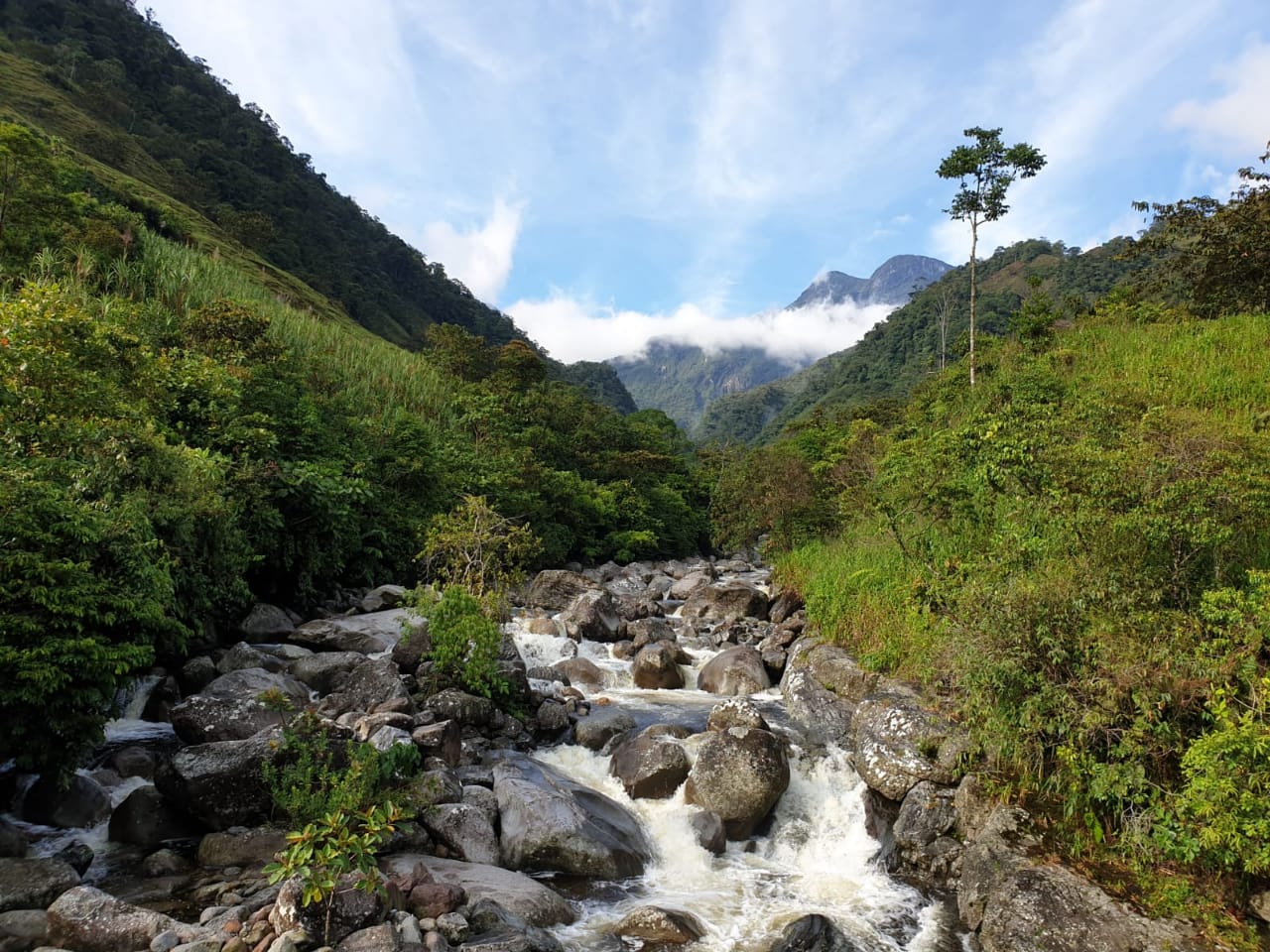 c5d14b5d-7a3b-4a6d-a3da-291011421db4