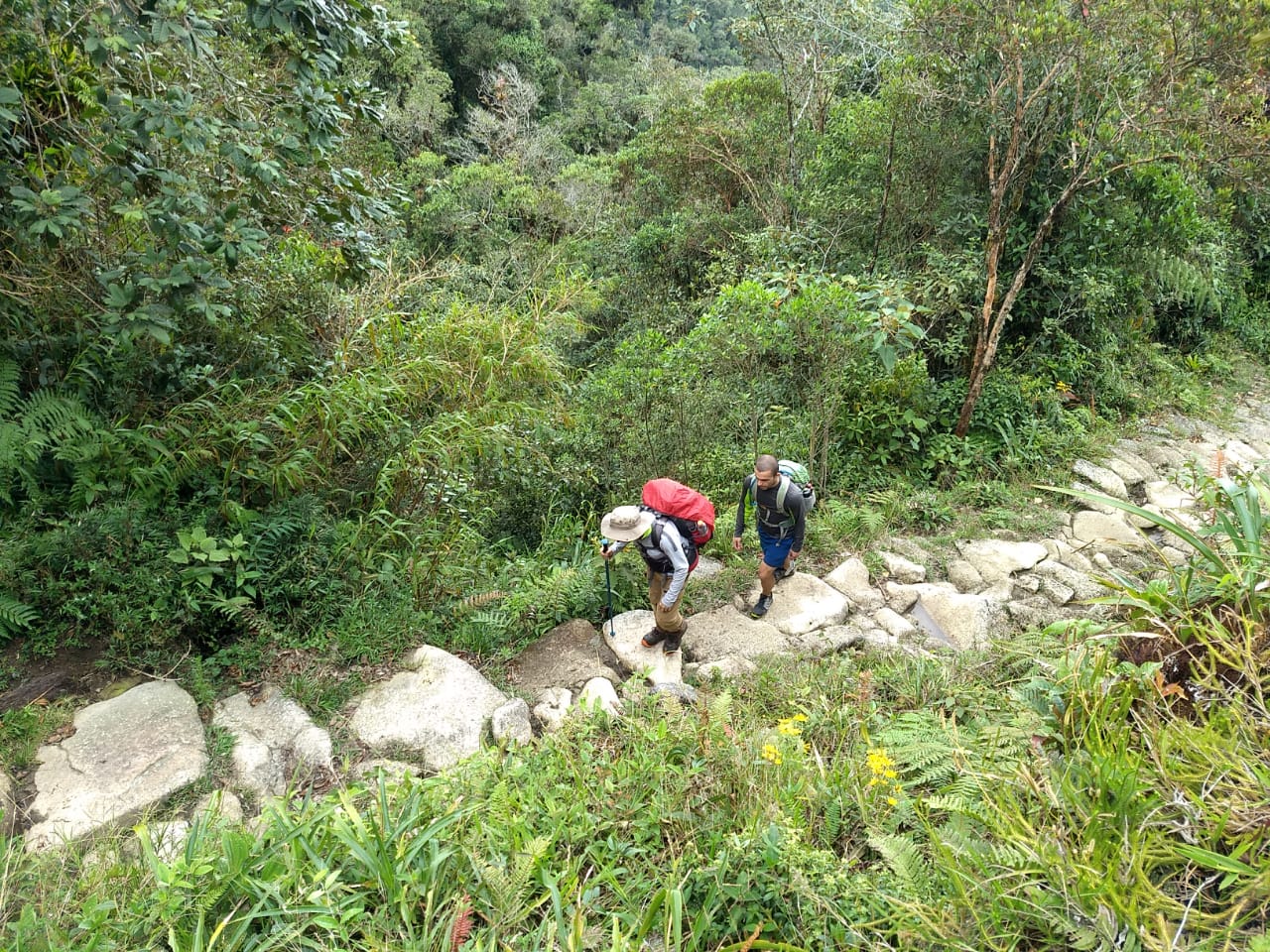 a33e21dd-5c61-427e-bd88-ce3932911179