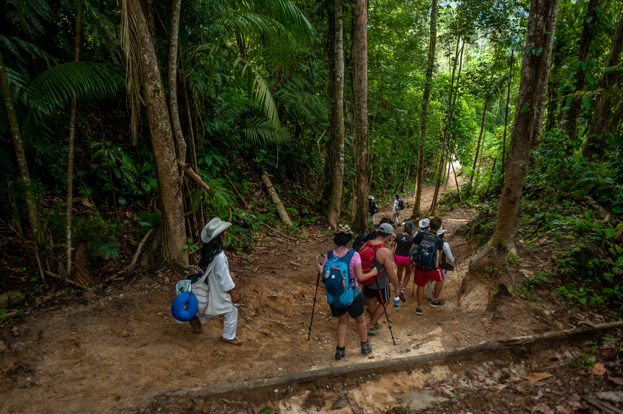 228215aa-974b-44c3-b3c6-6d2360bfe998