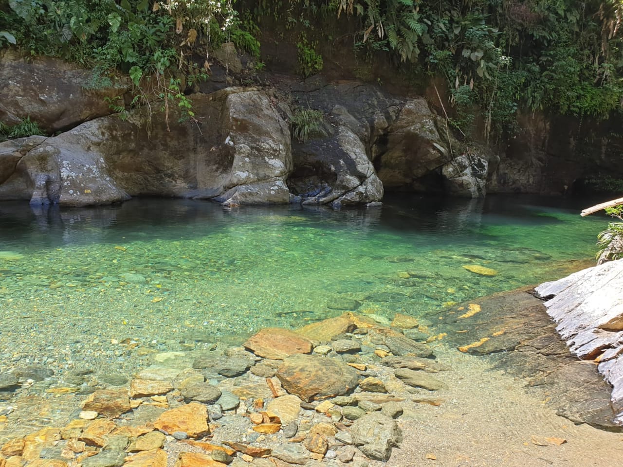 192cb564-5a4e-4ac6-808f-1aabb8563791