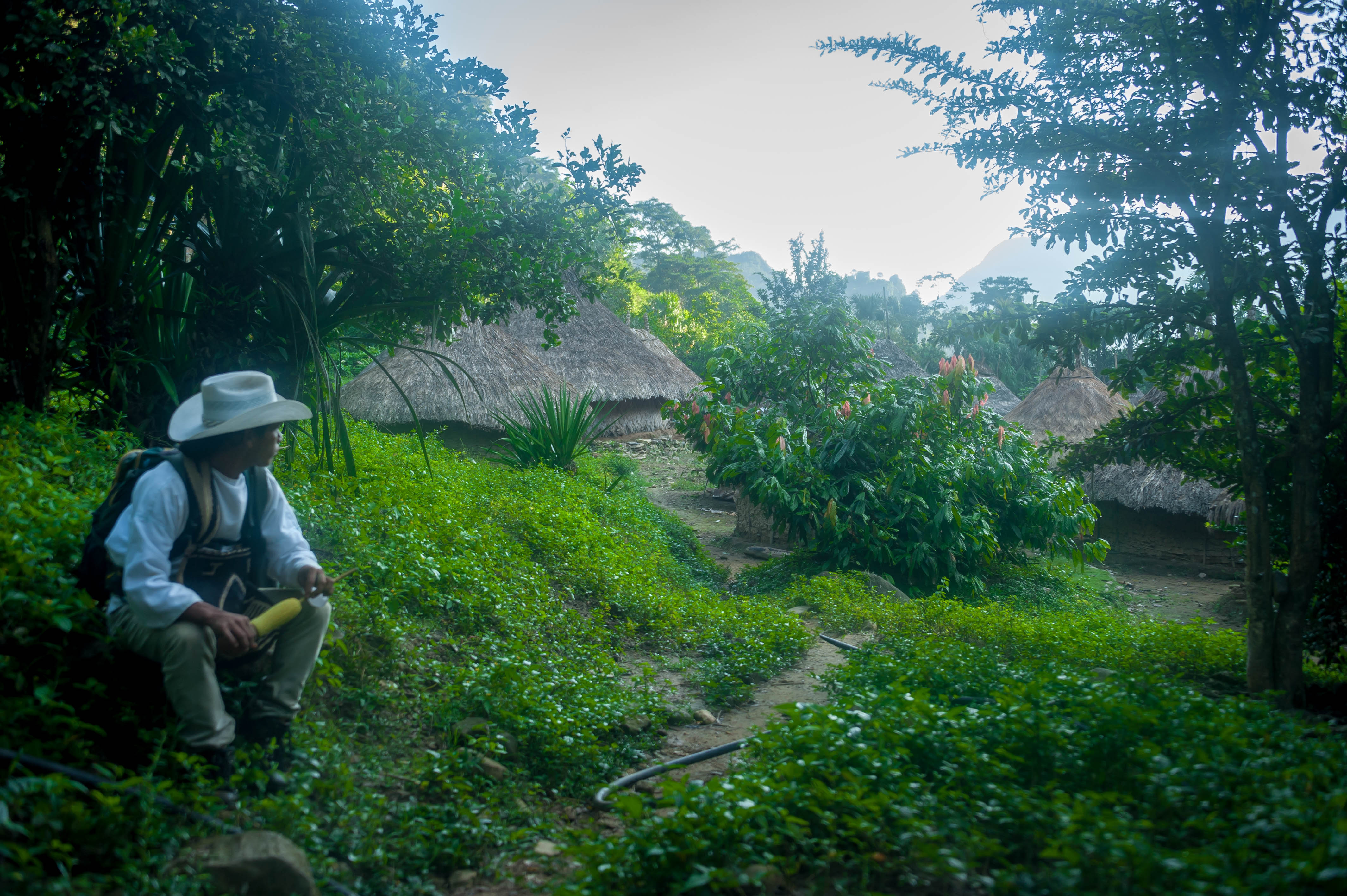 313949d1-343b-4b27-b266-7da96b4d5316