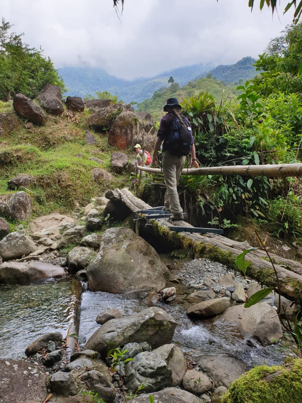 8ce648d5-8531-4898-a6b1-bec2c32c9213