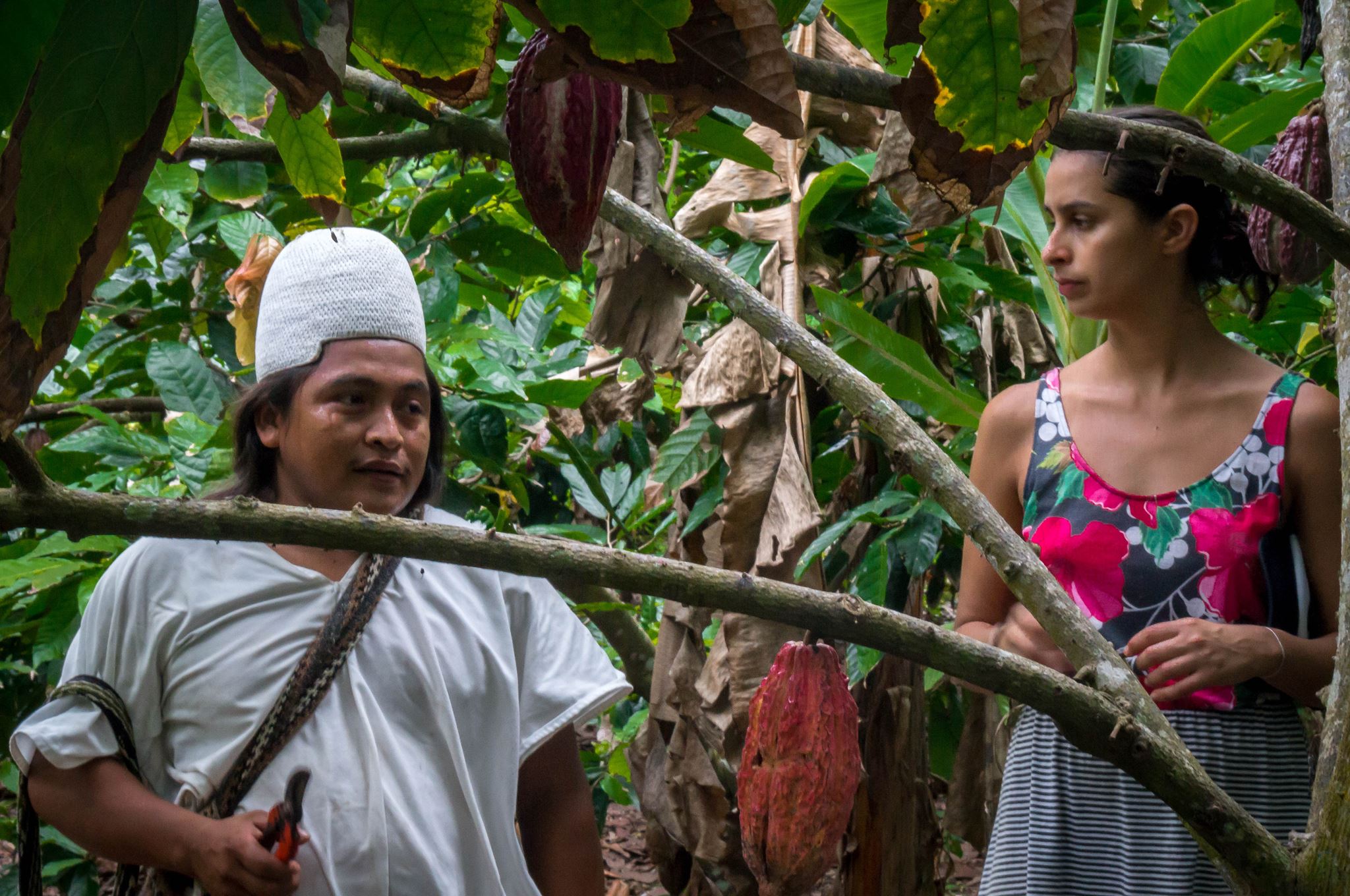 07709ab9-07d0-46e1-ac27-0f97cbd22b84