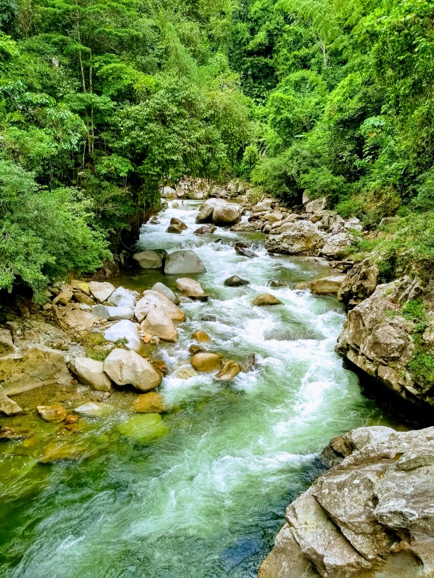 bd97f6de-4c90-4e95-90df-6541173a22d2