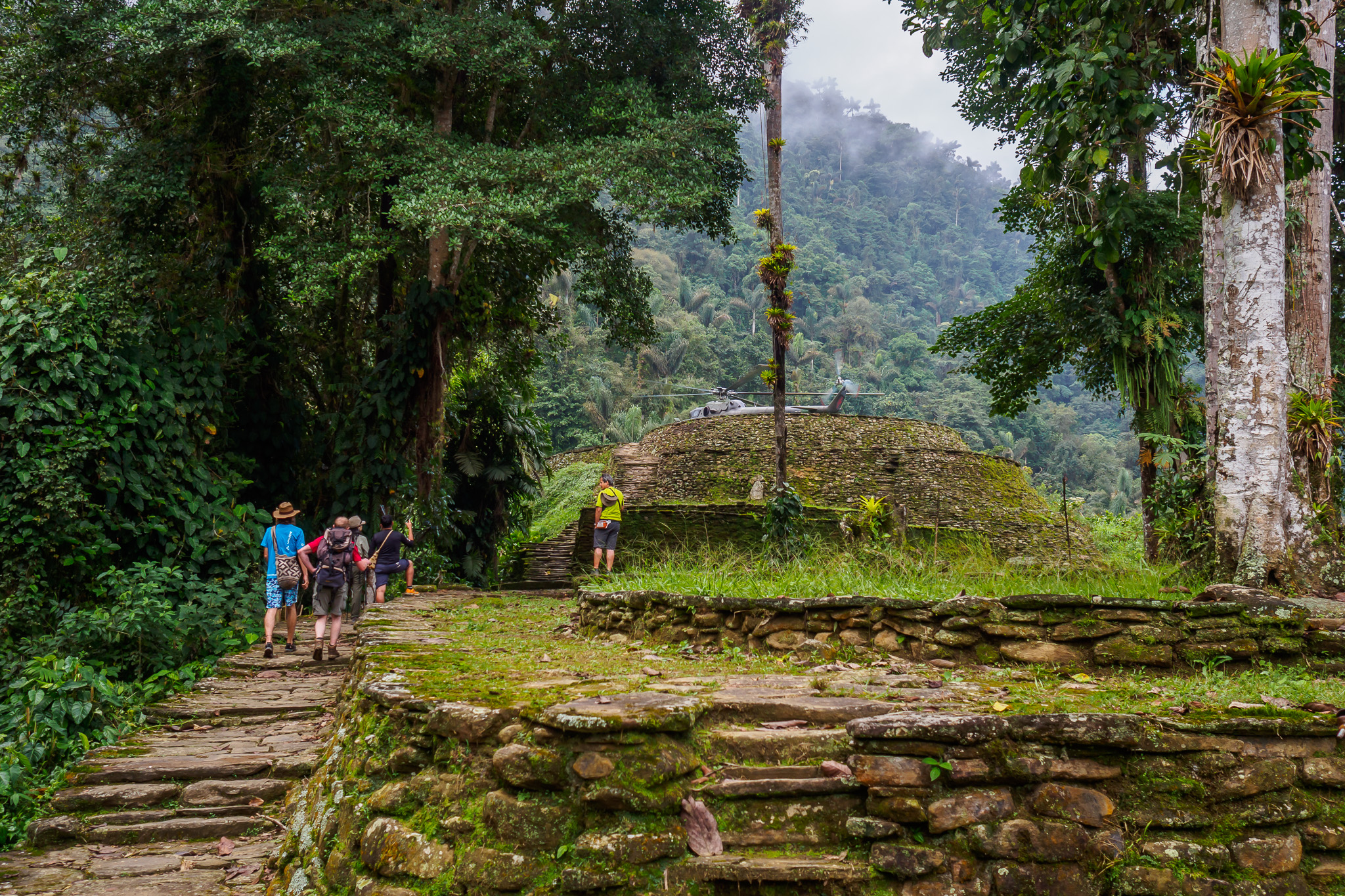 1733a7ae-2b28-4426-885e-bb07a261154d