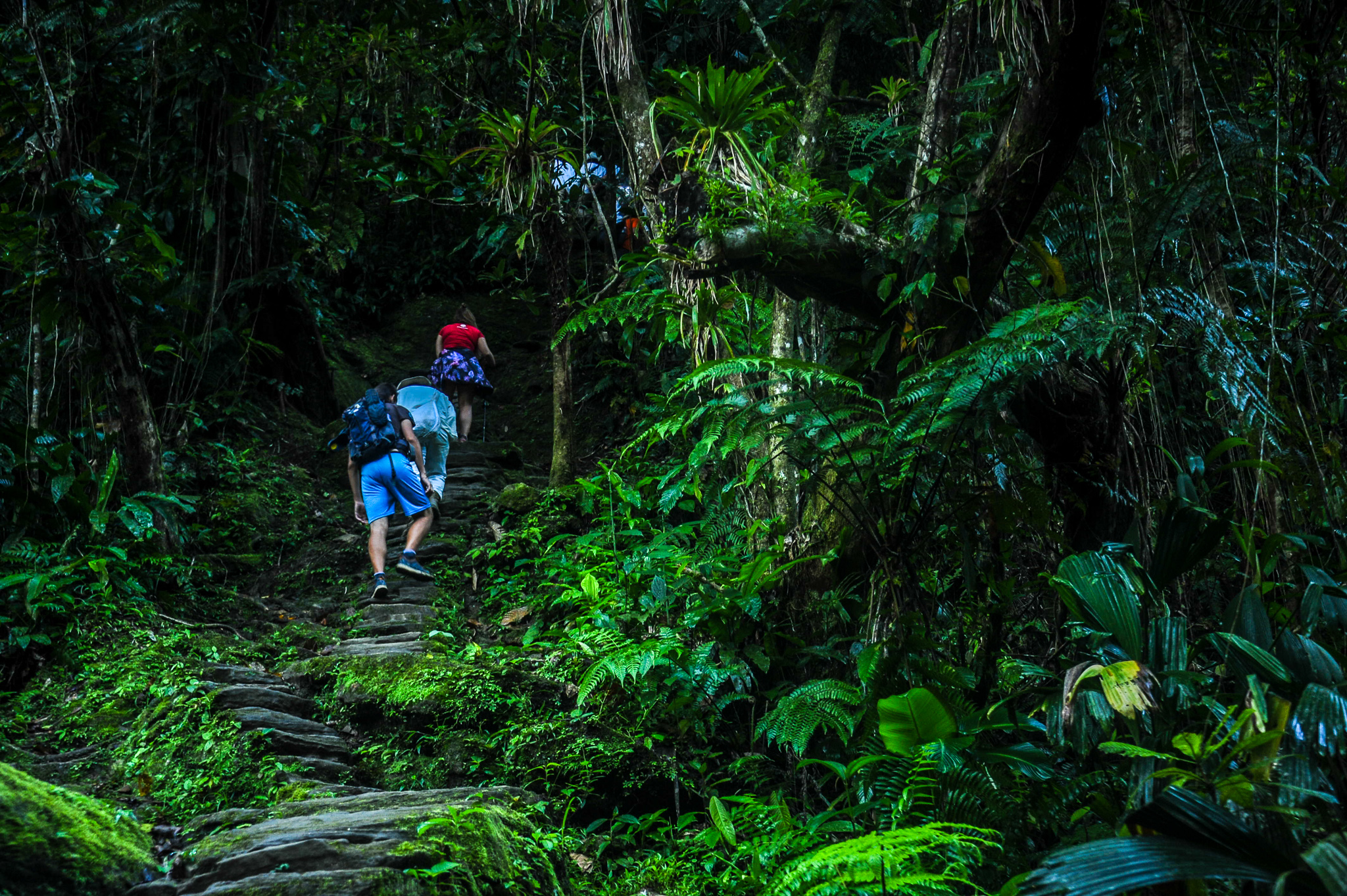 219d9886-46cd-4fd1-adf8-7463b007eec6