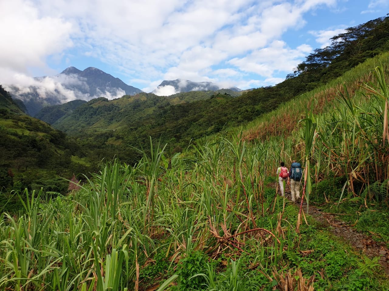 5ea37af9-e7a6-4832-b928-3c52cd923add