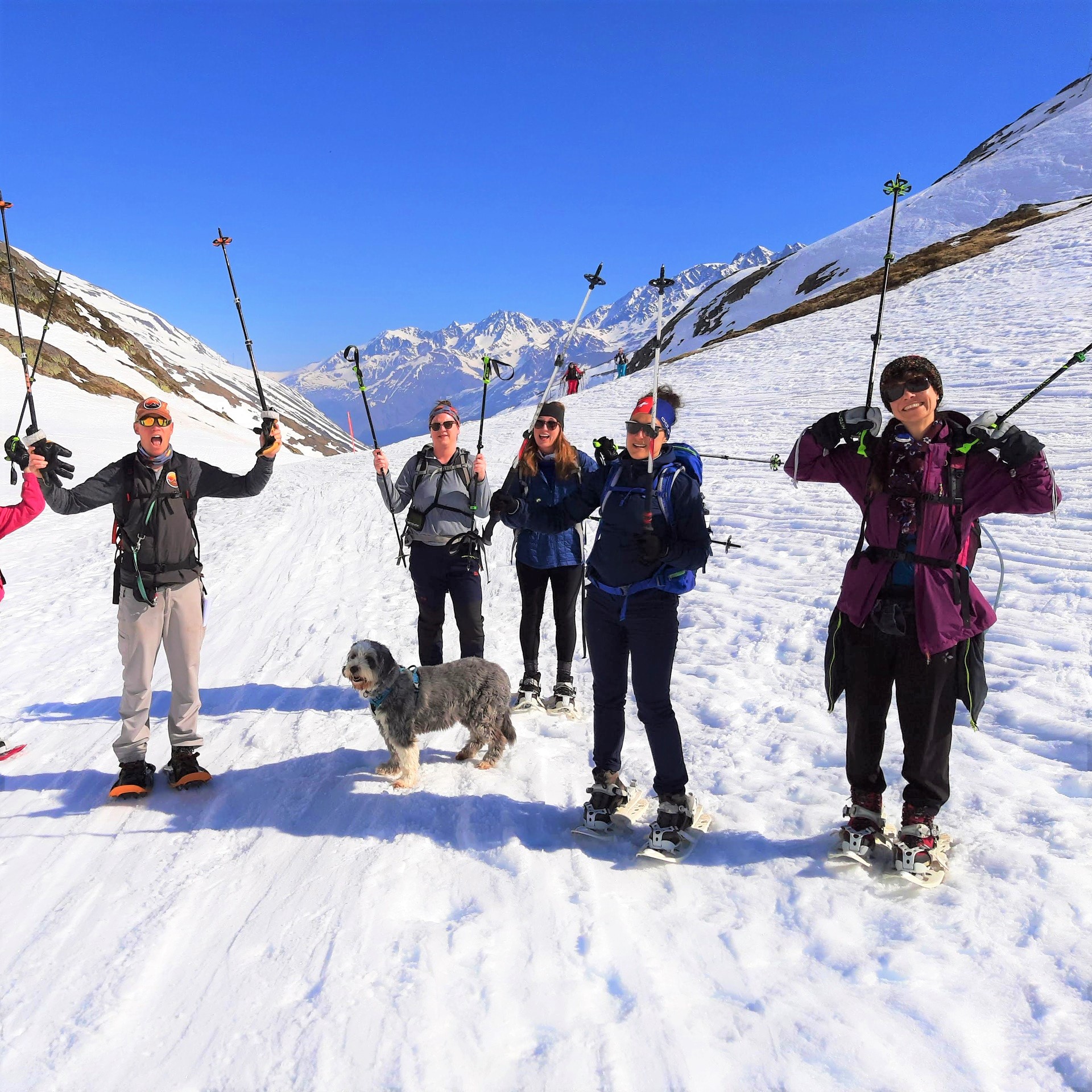 image_8RFFAL9UD2MLNL3E