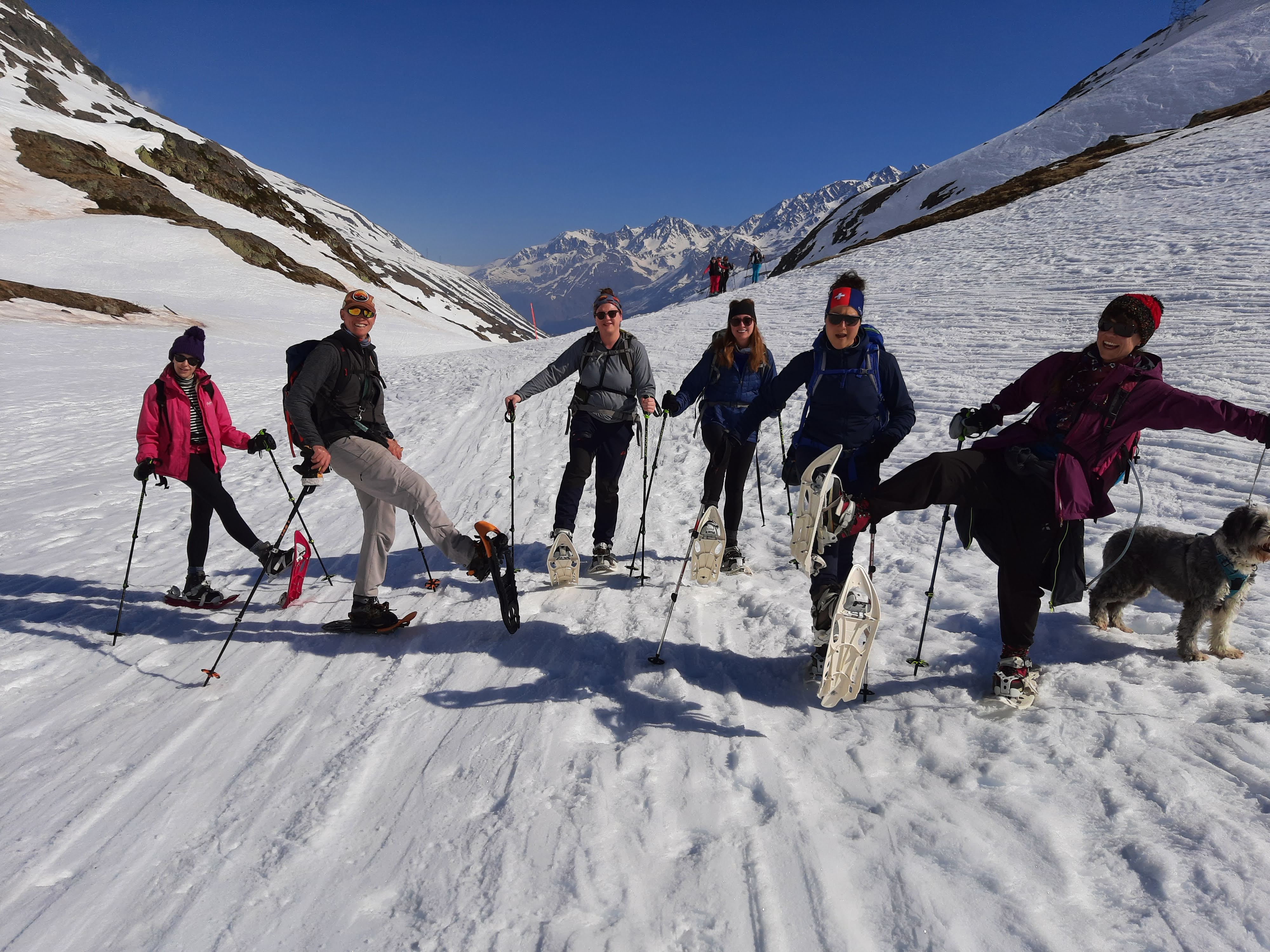 image_THFEHZGM57SJ6WKT