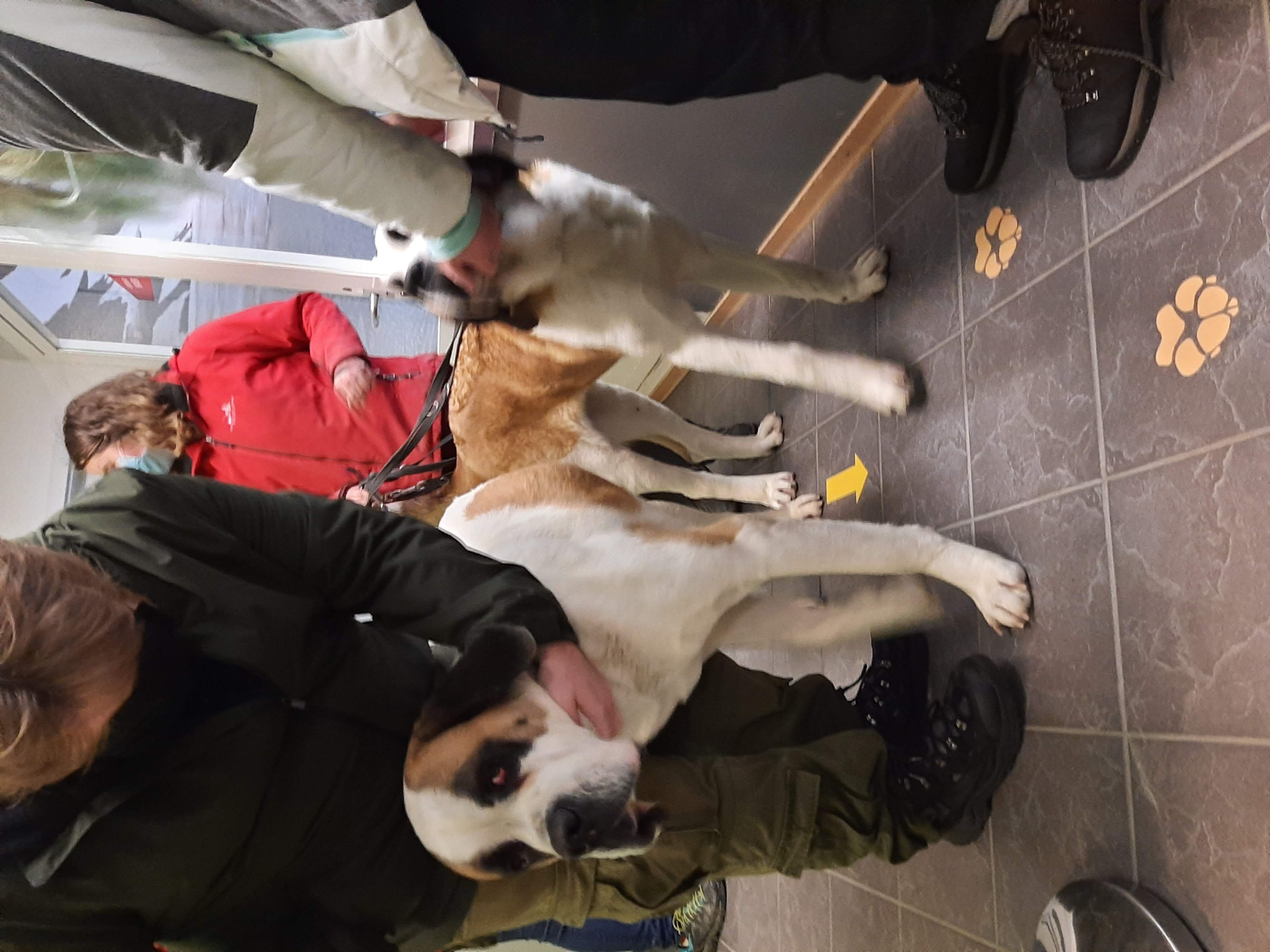 image_THDL2ZEPU7NEMK5A