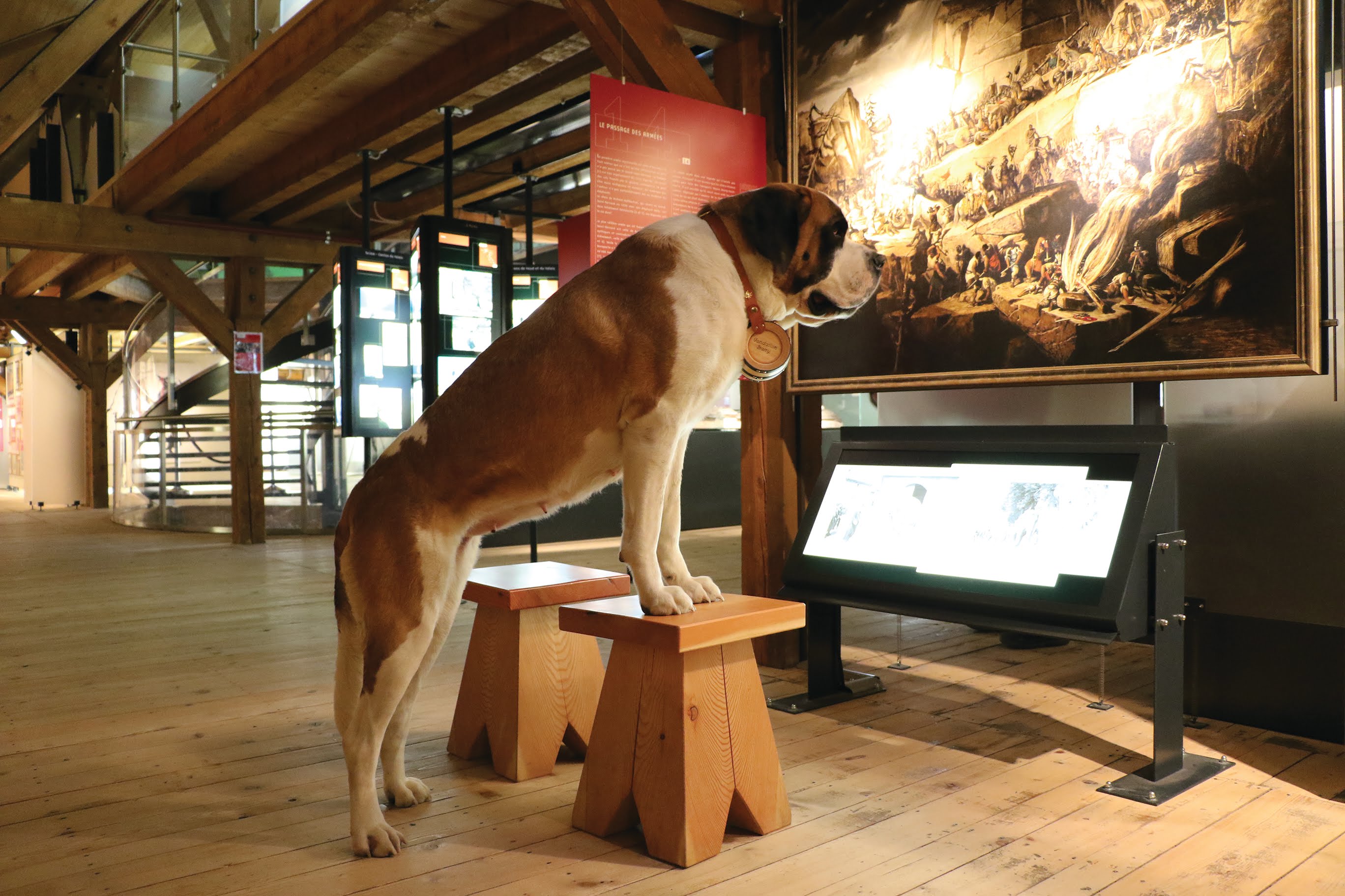 image_V5DY7WBNMQU2NM8D