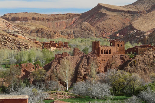 image_7VQ43FPGQA2PGEGC