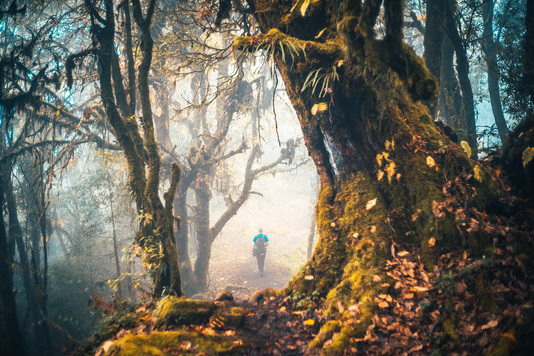 image_NKQWYKUXPQTD7XQN