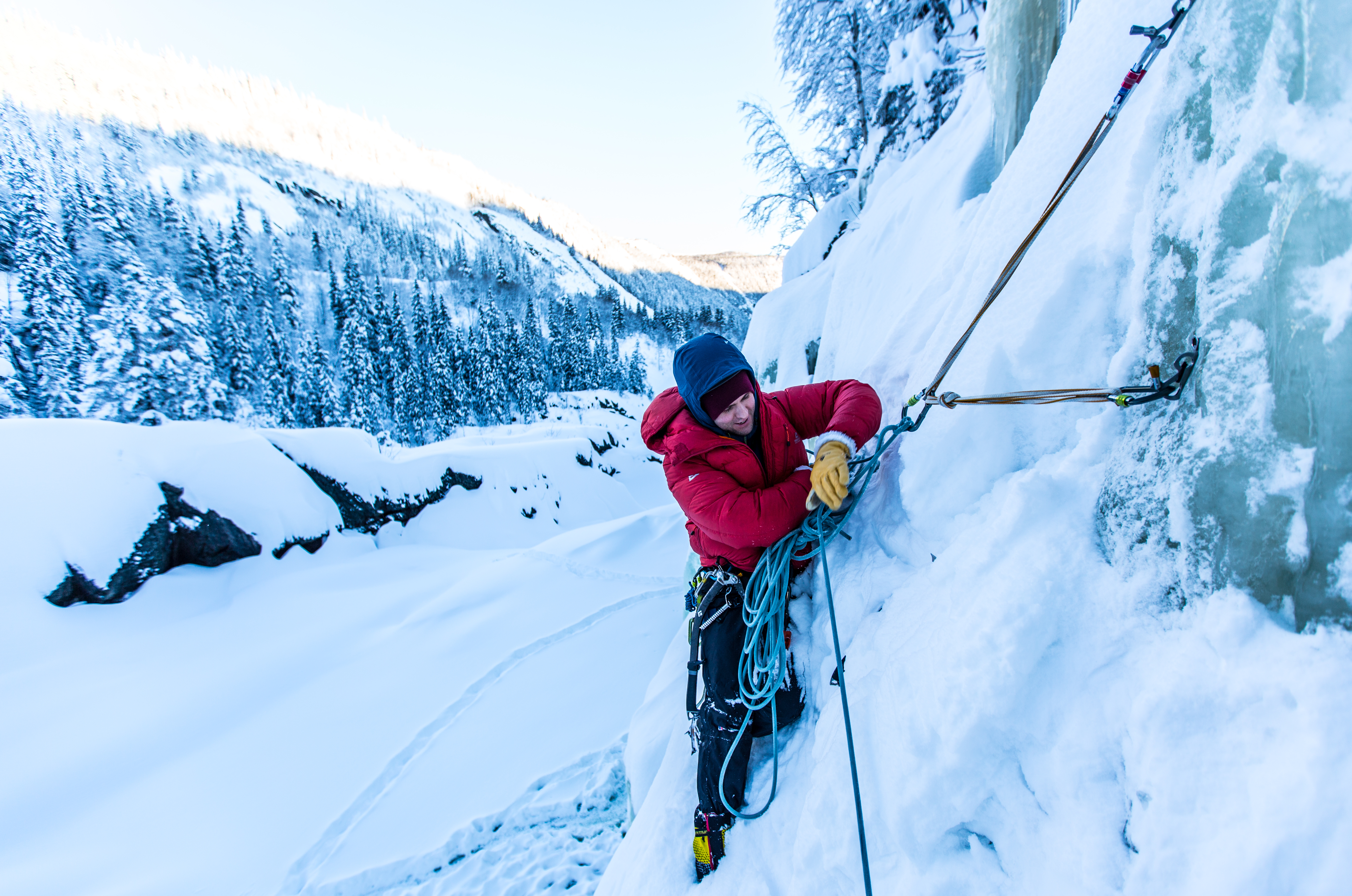 e9a0c51d-271f-4c40-bba0-b2c694dd2c7e