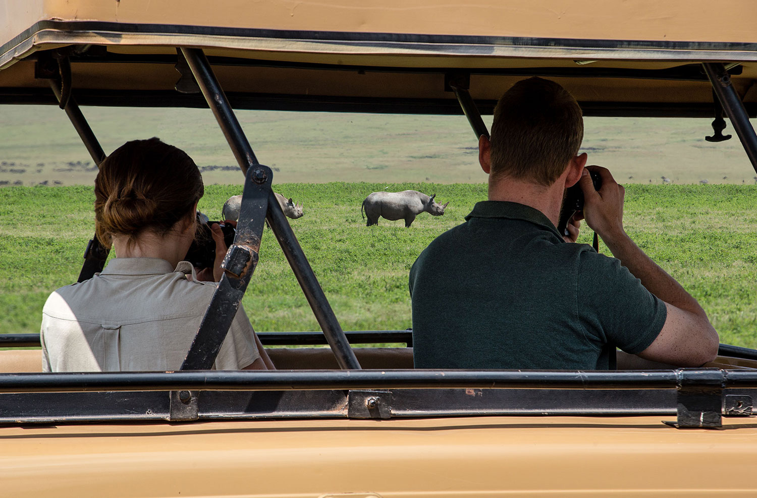 image_NZJBZMKTXMM5B8FP