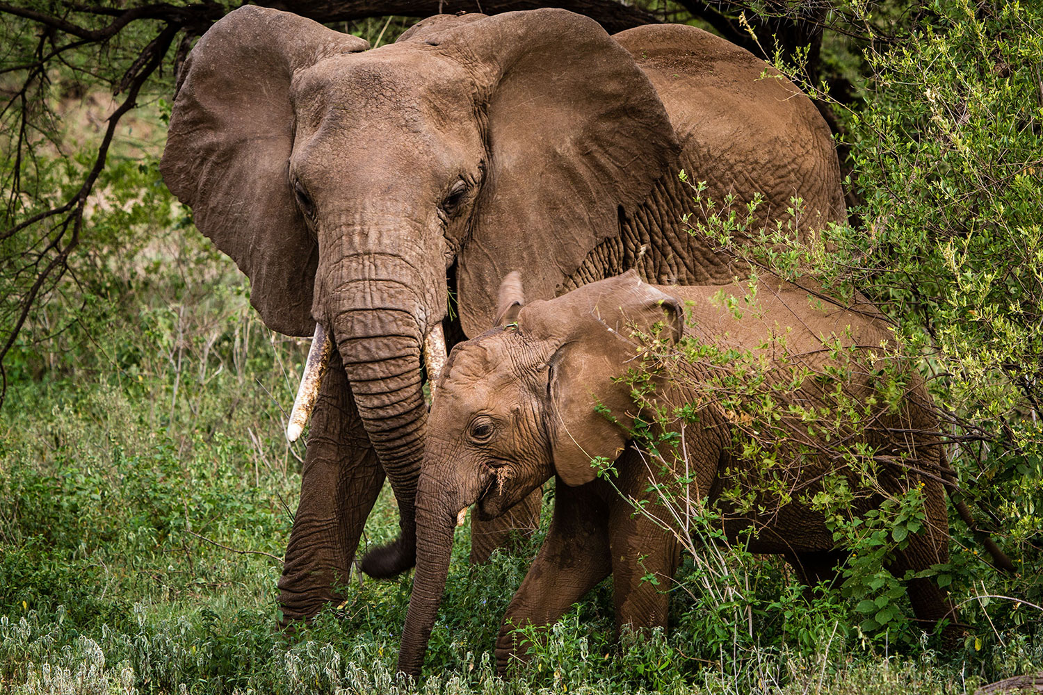 image_GS8KVYYJSBPGHZRK