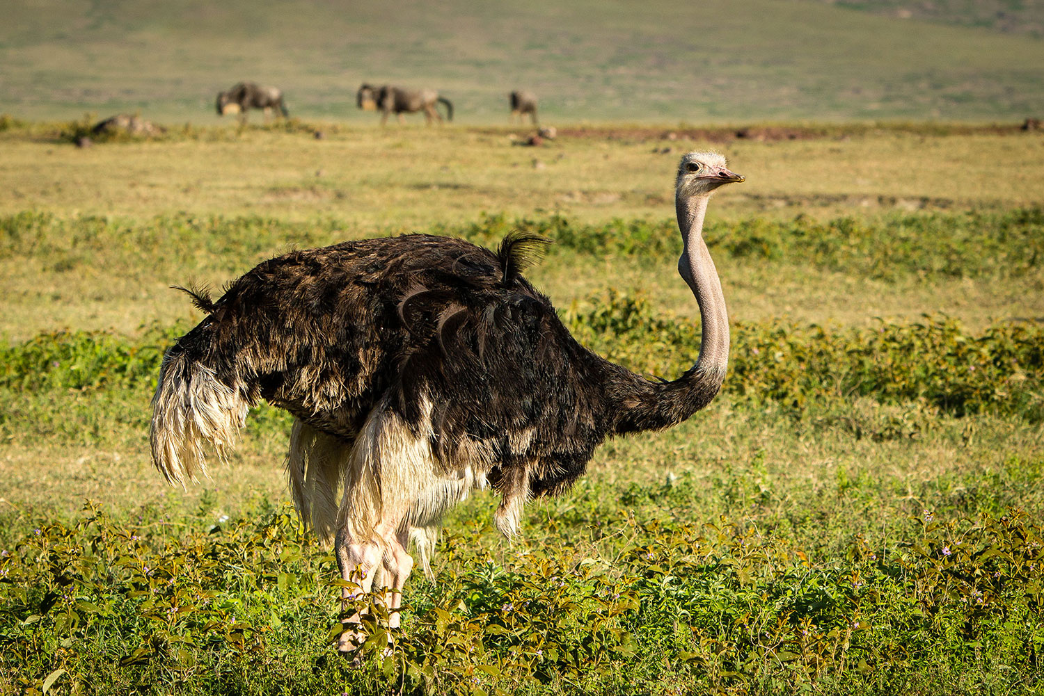 image_XV4BAR7MR45JNP75