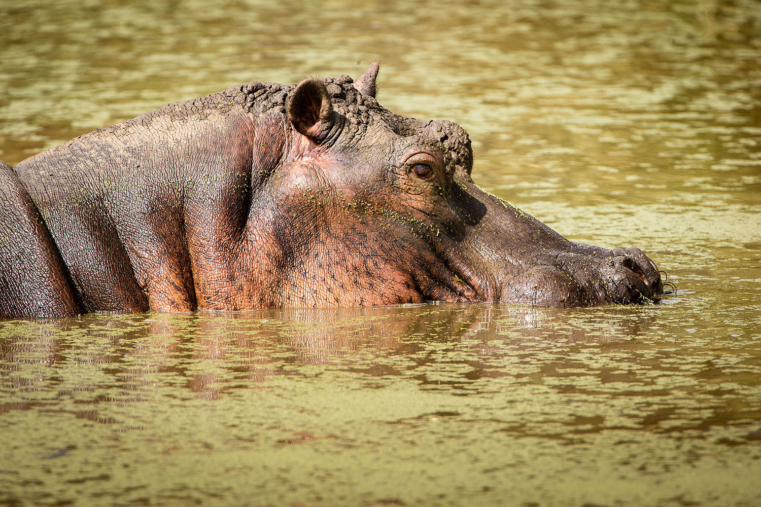 image_VMFKS3APEE9T7EUV