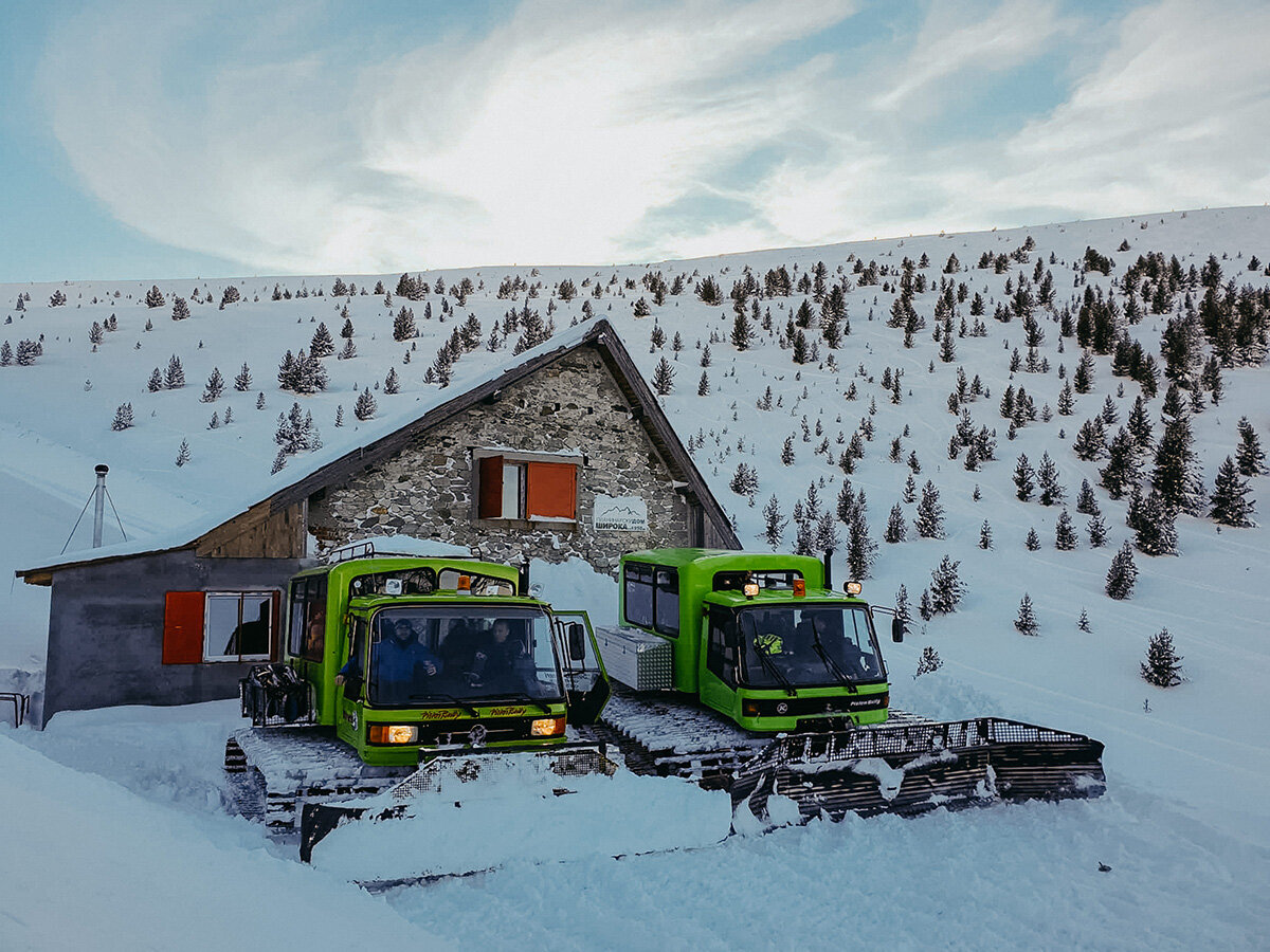 image_2YZNABXANHDLWKNL