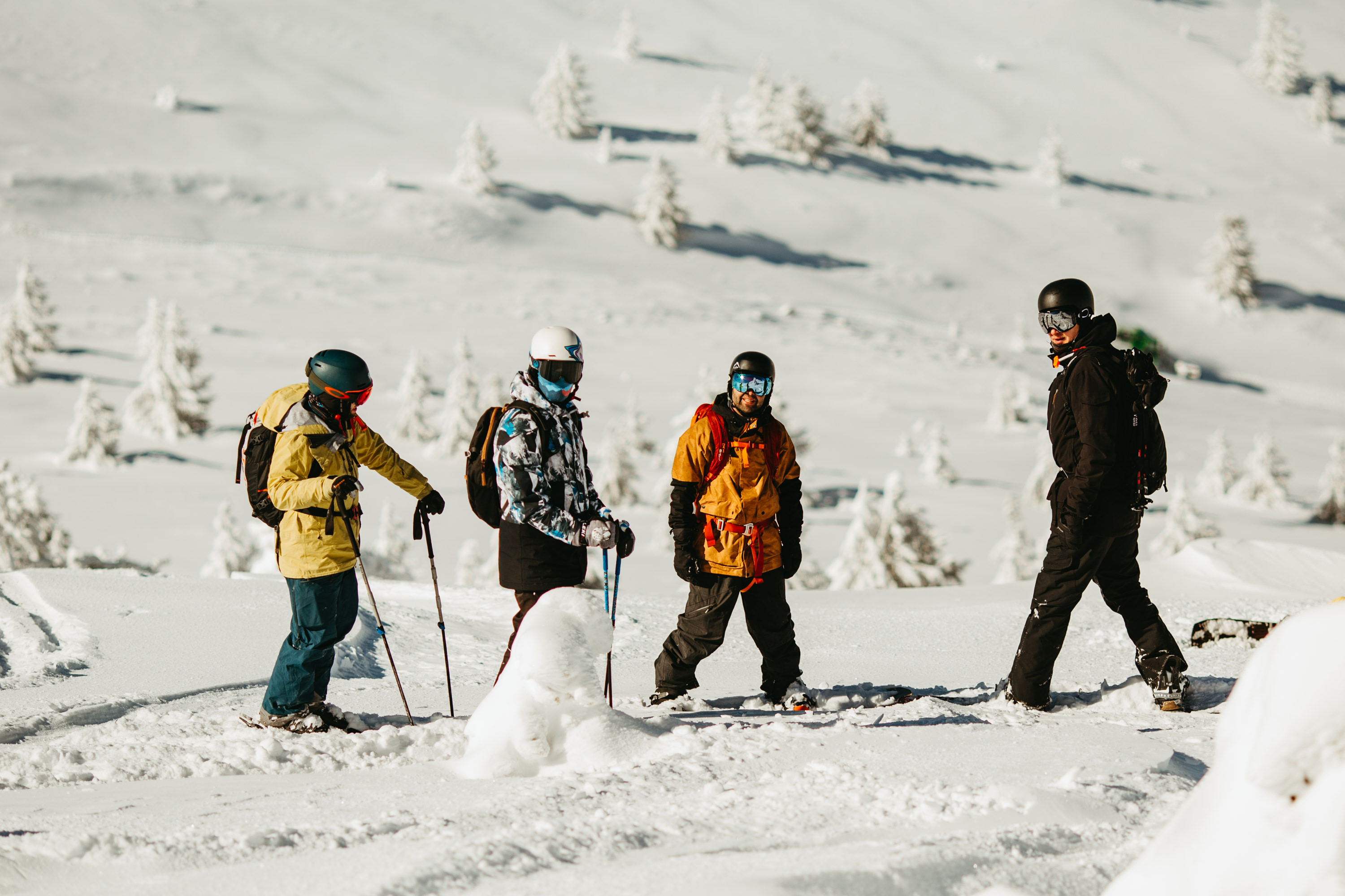 image_72MWPJC6AHX6VJTZ