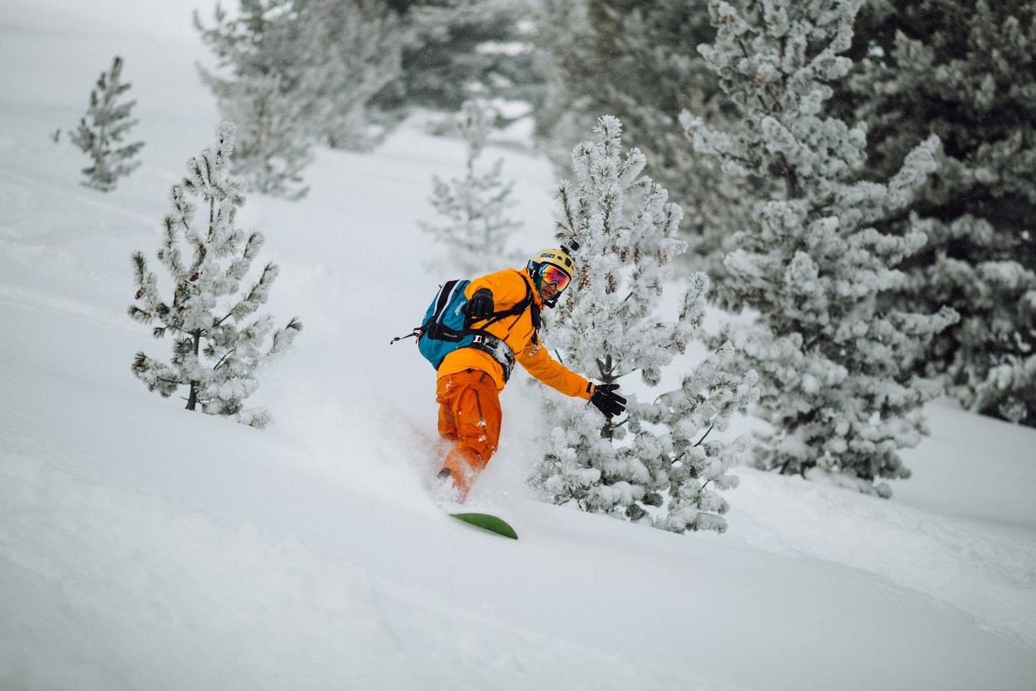 image_4BFFWXAUR3NSA726