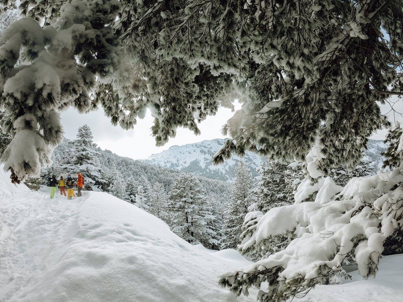 image_L2GWW5RTWKYQRGST