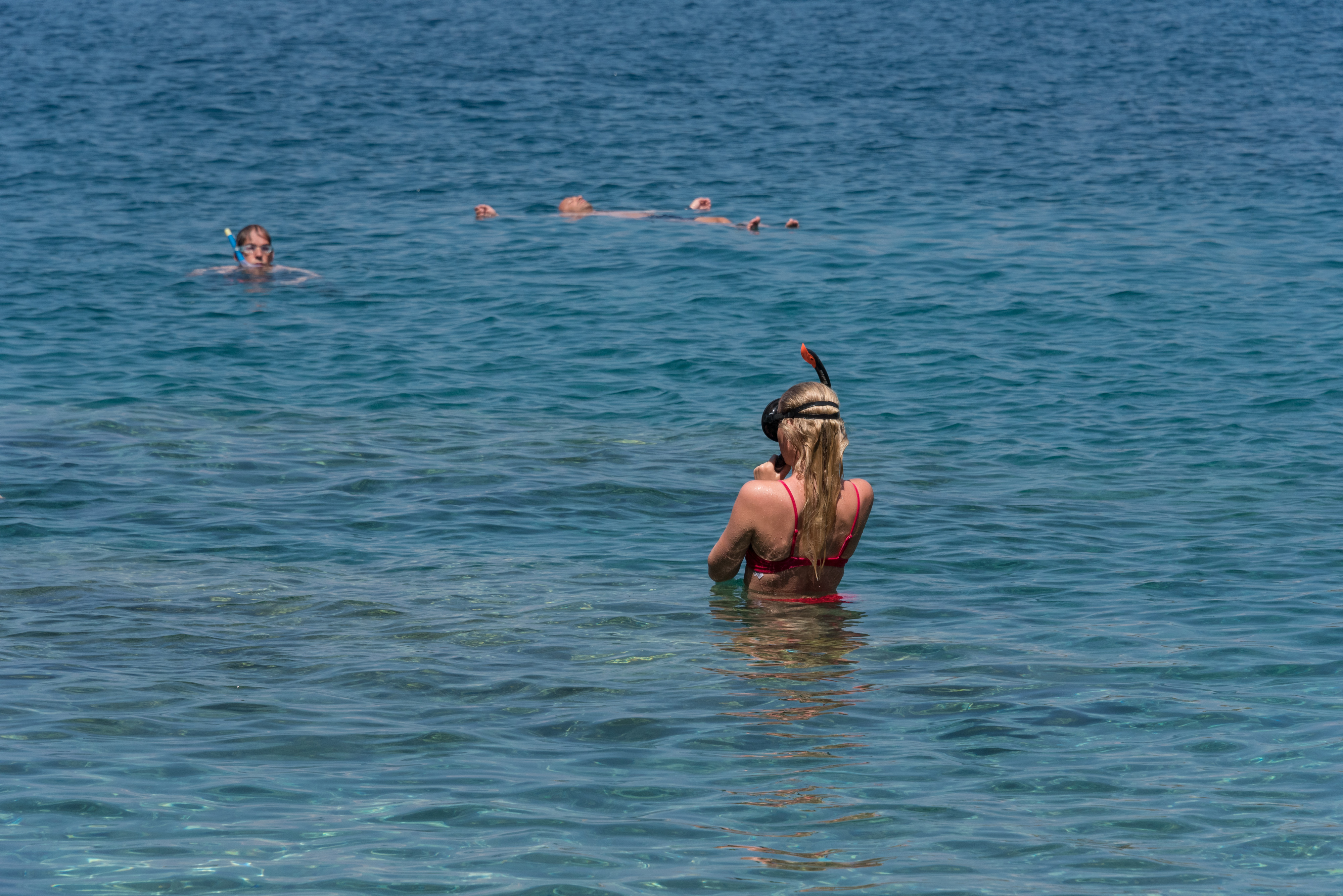 373faf2a-e945-46d7-838a-d82c8bee1855