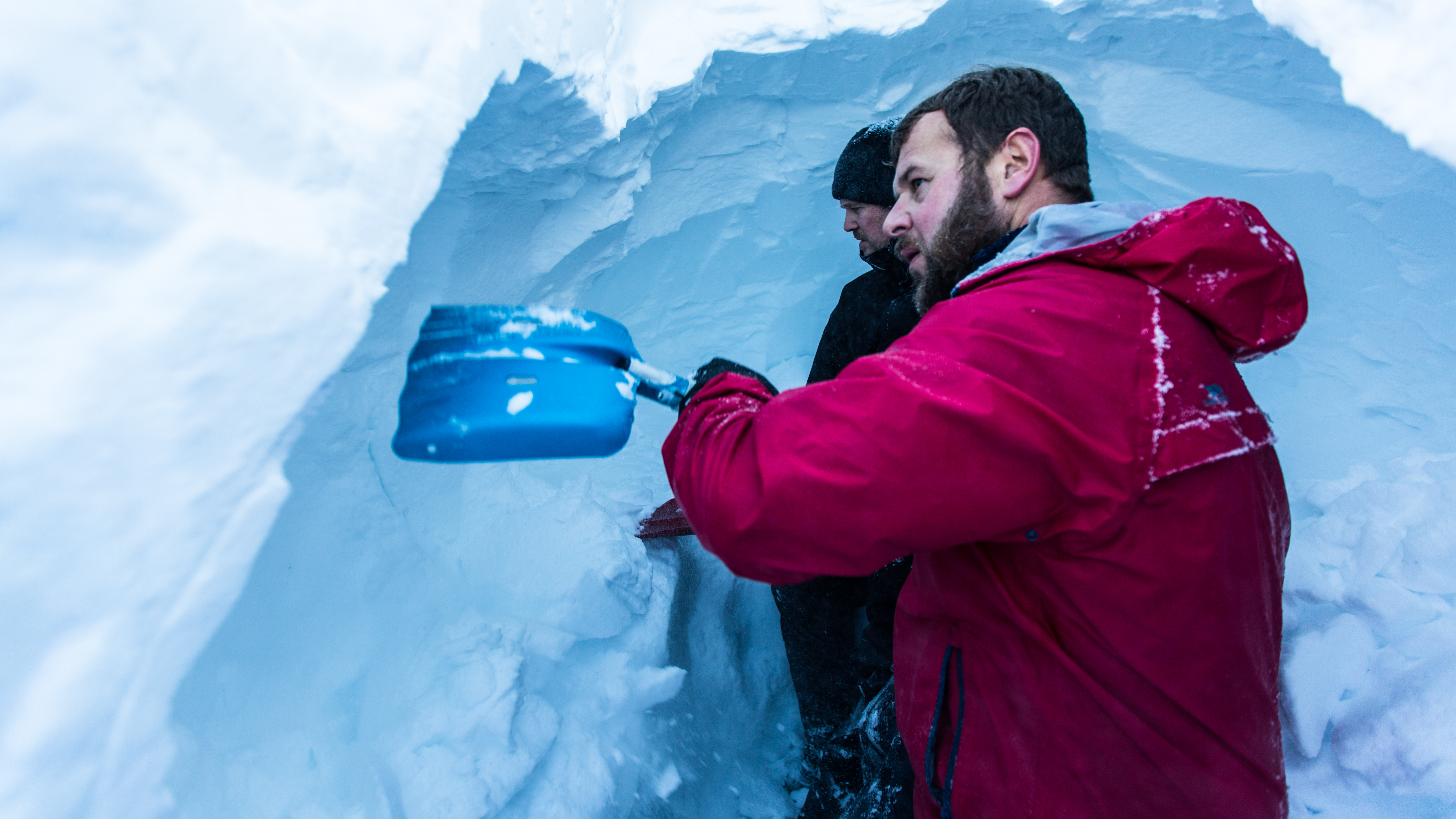 d67bb8ff-c785-431e-8dce-16f6ade09f25