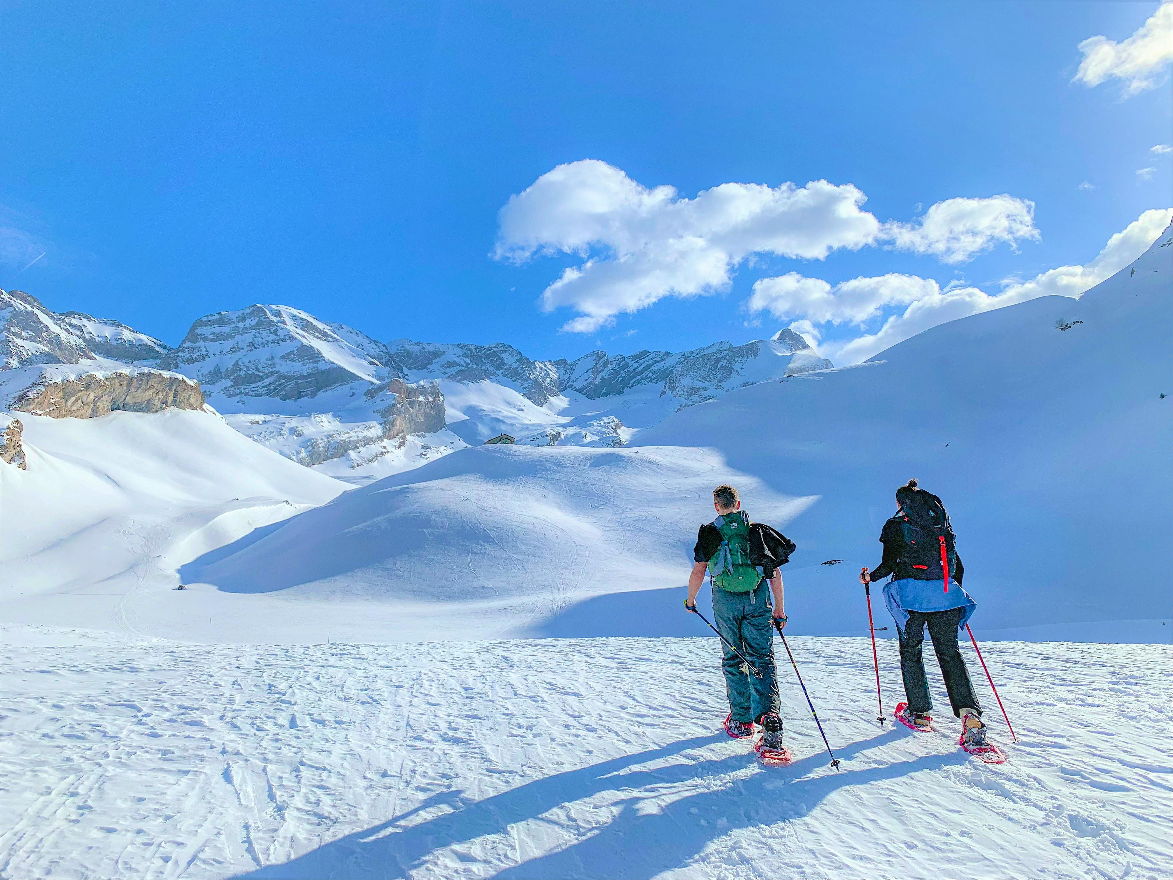 Snowshoeing in the Swiss Alps