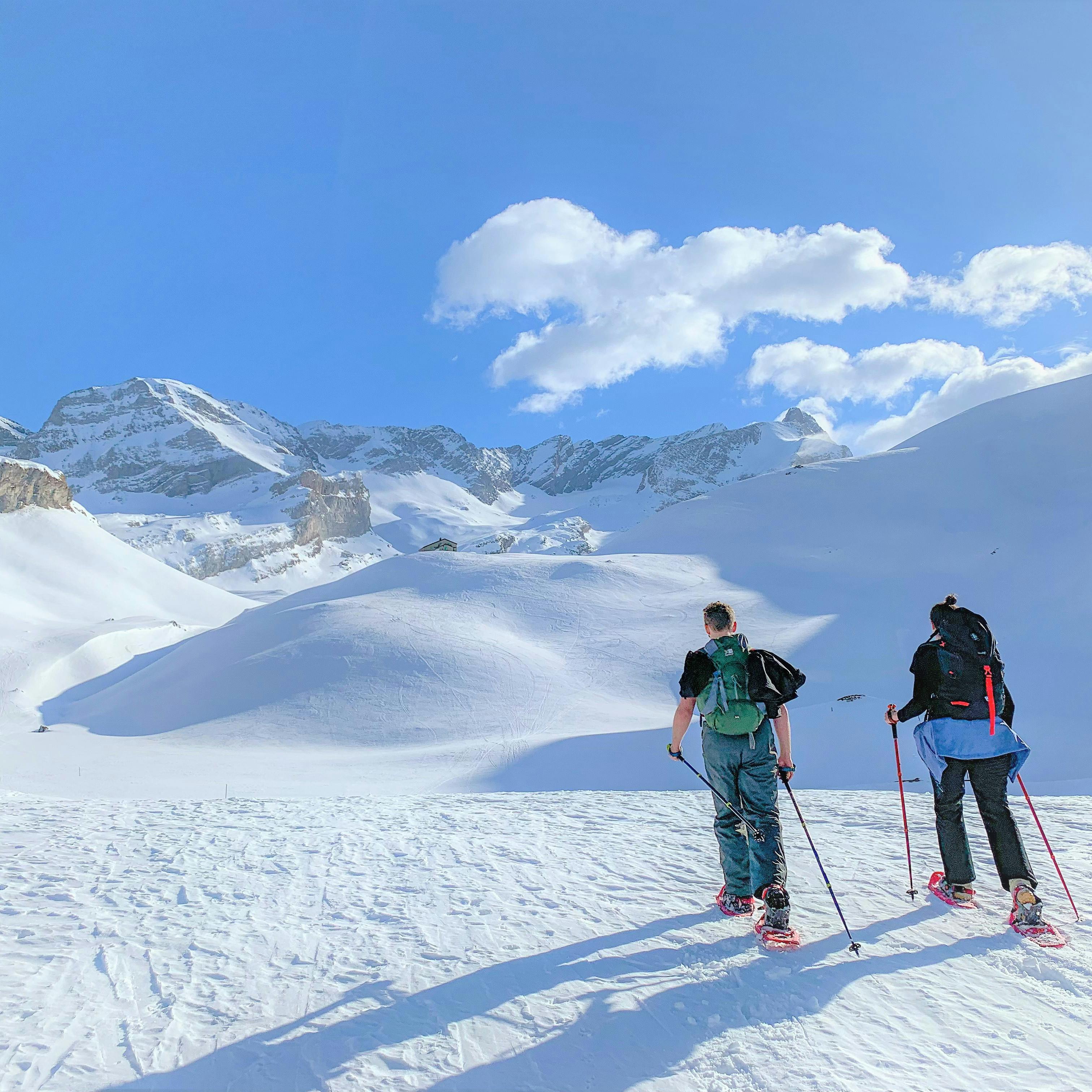 Snowshoeing in the Swiss Alps