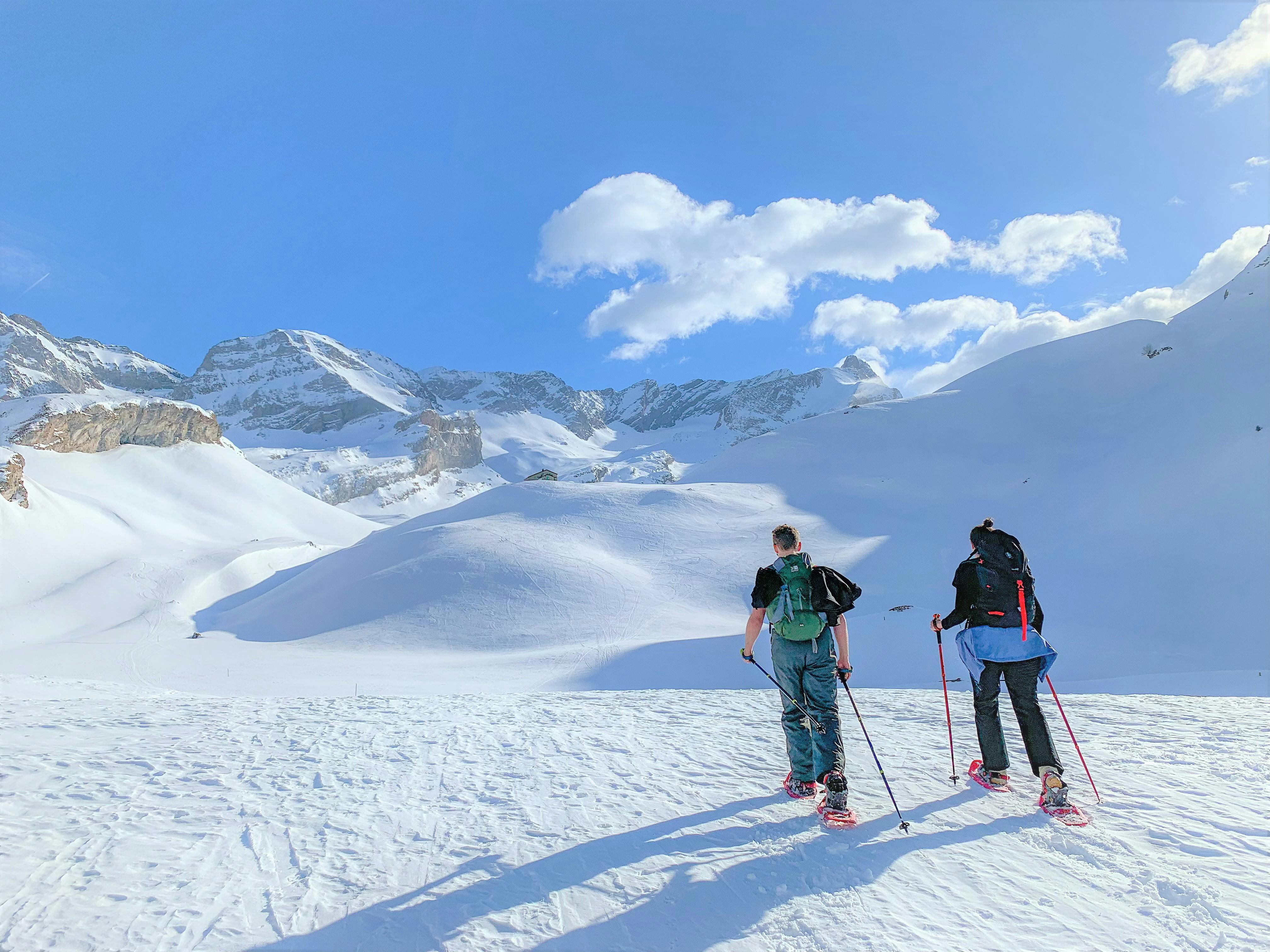 Snowshoeing in the Swiss Alps